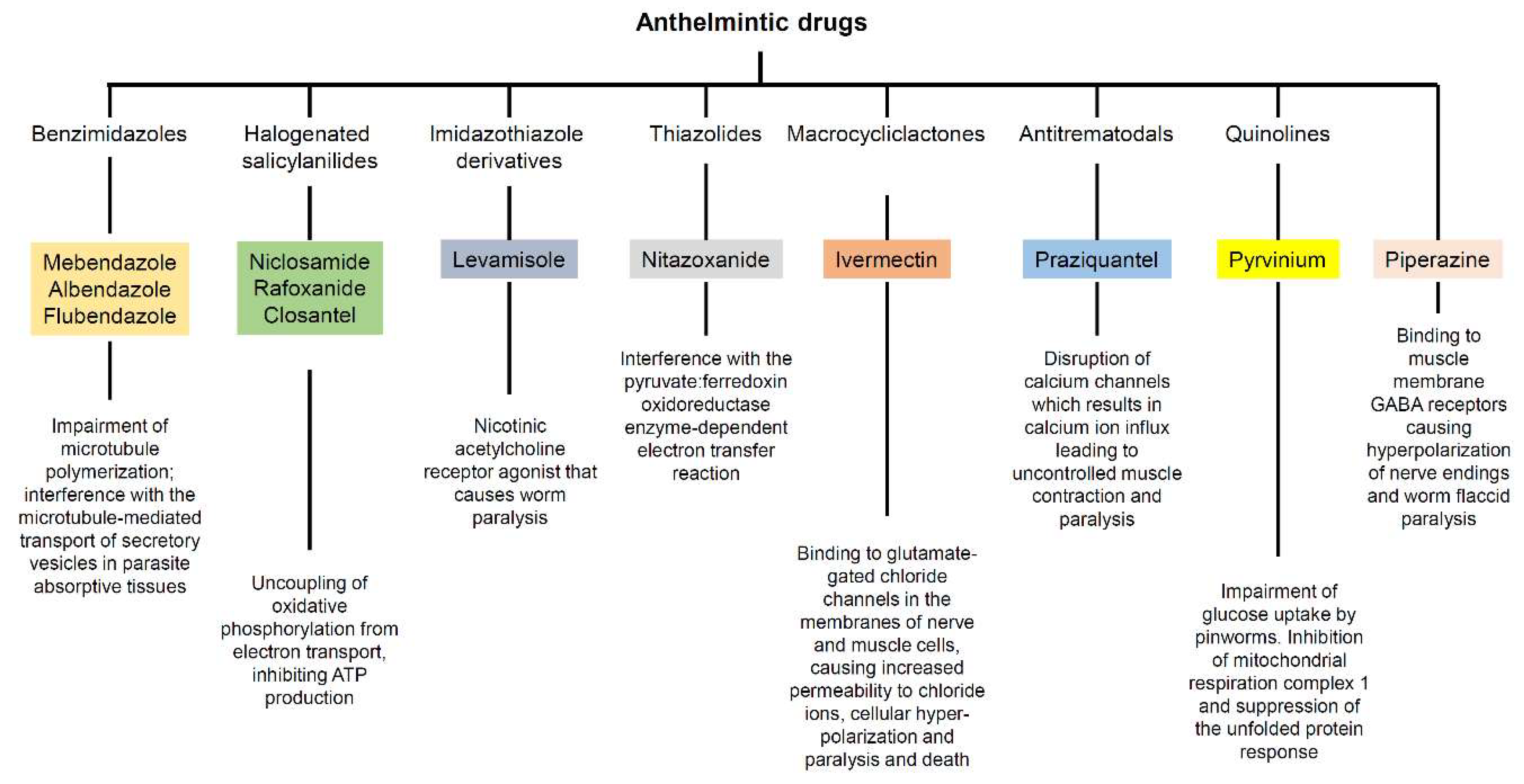 some anthelmintic therapeutic agents work by)