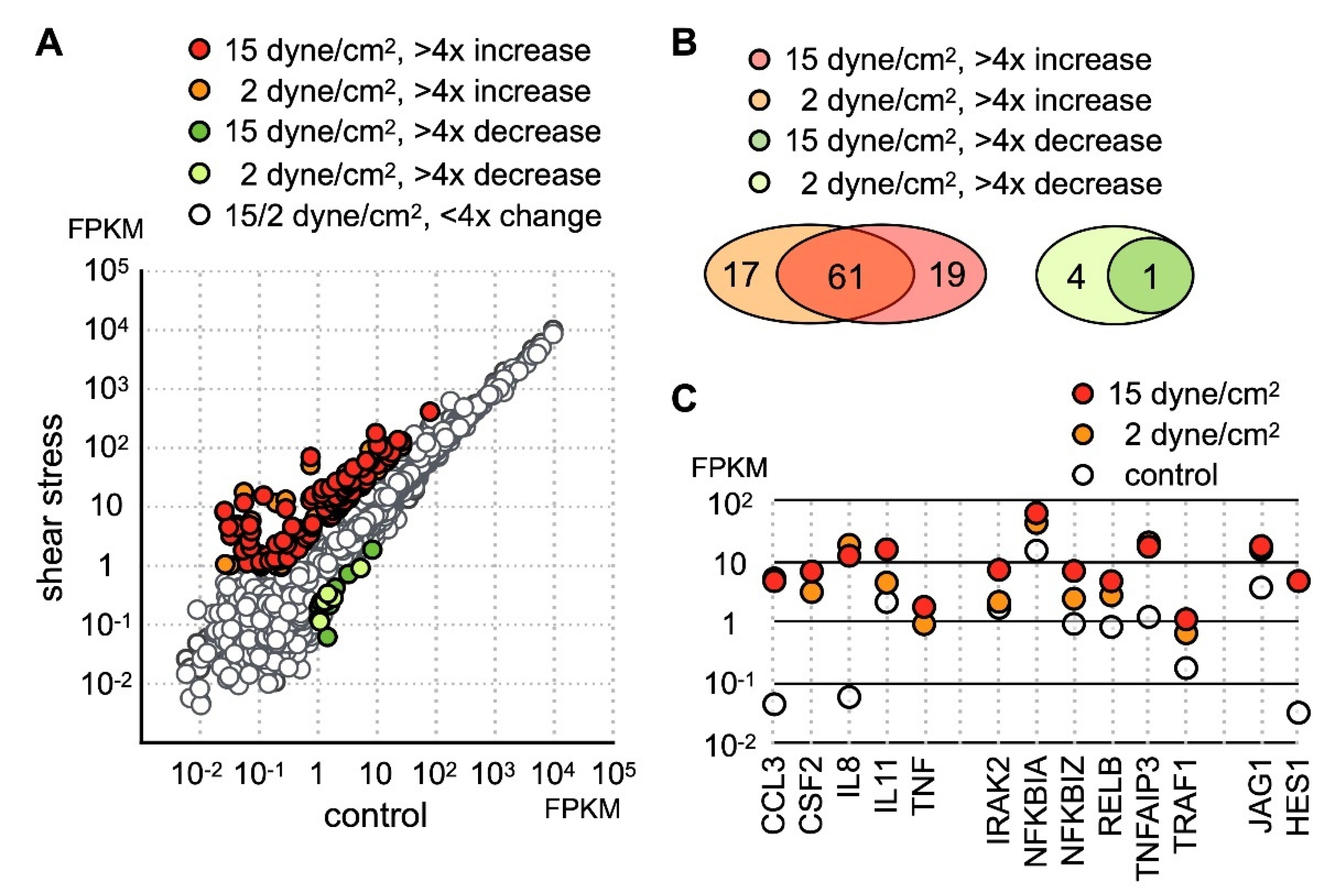 Ijms 21 04958 g001 Ijms 21 04958 g001