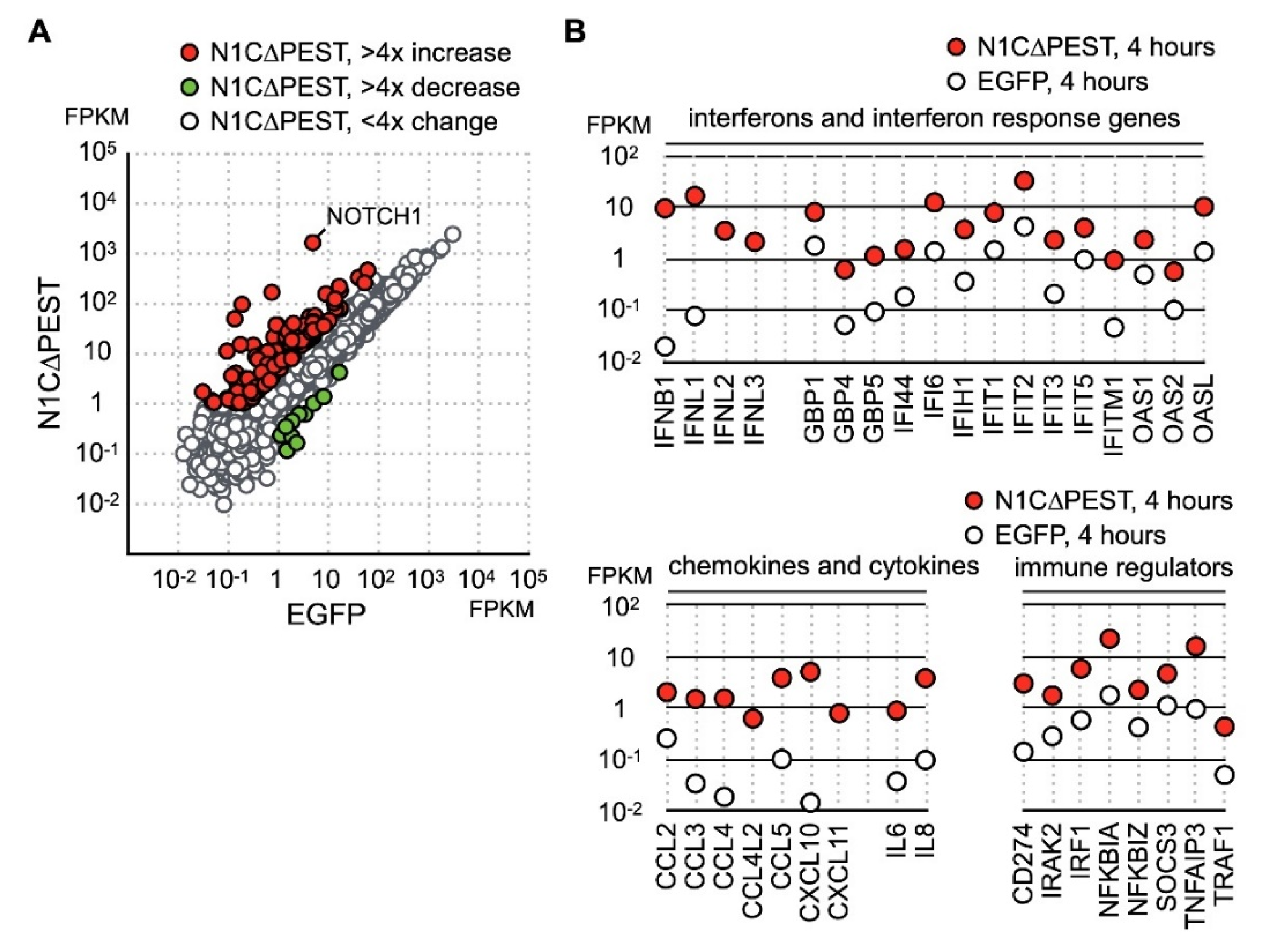 Ijms 21 04958 g002 Ijms 21 04958 g002
