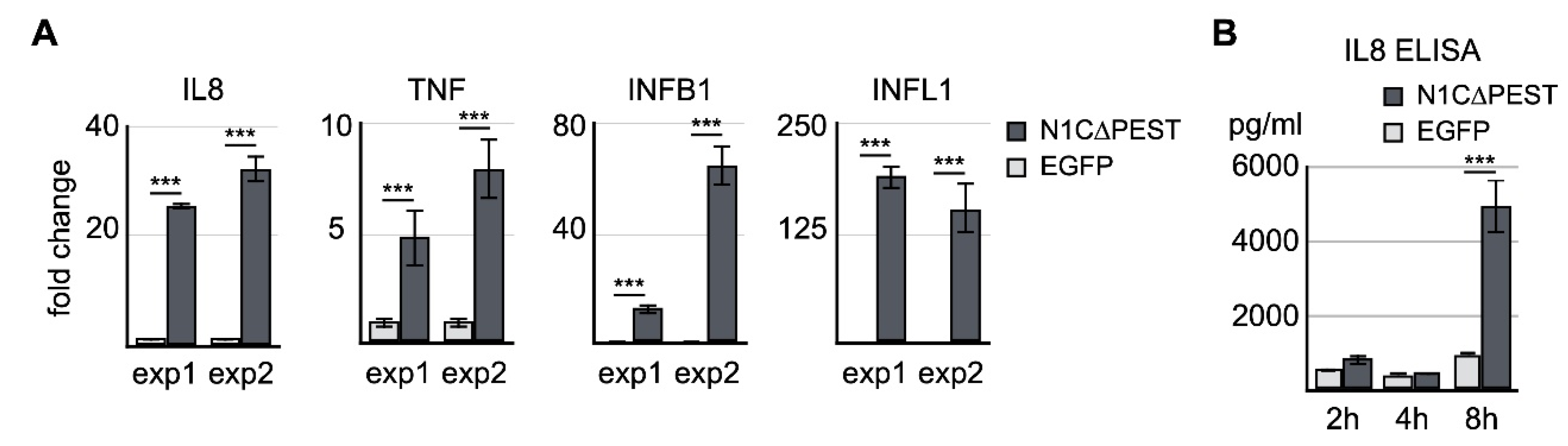 Ijms 21 04958 g003 Ijms 21 04958 g003
