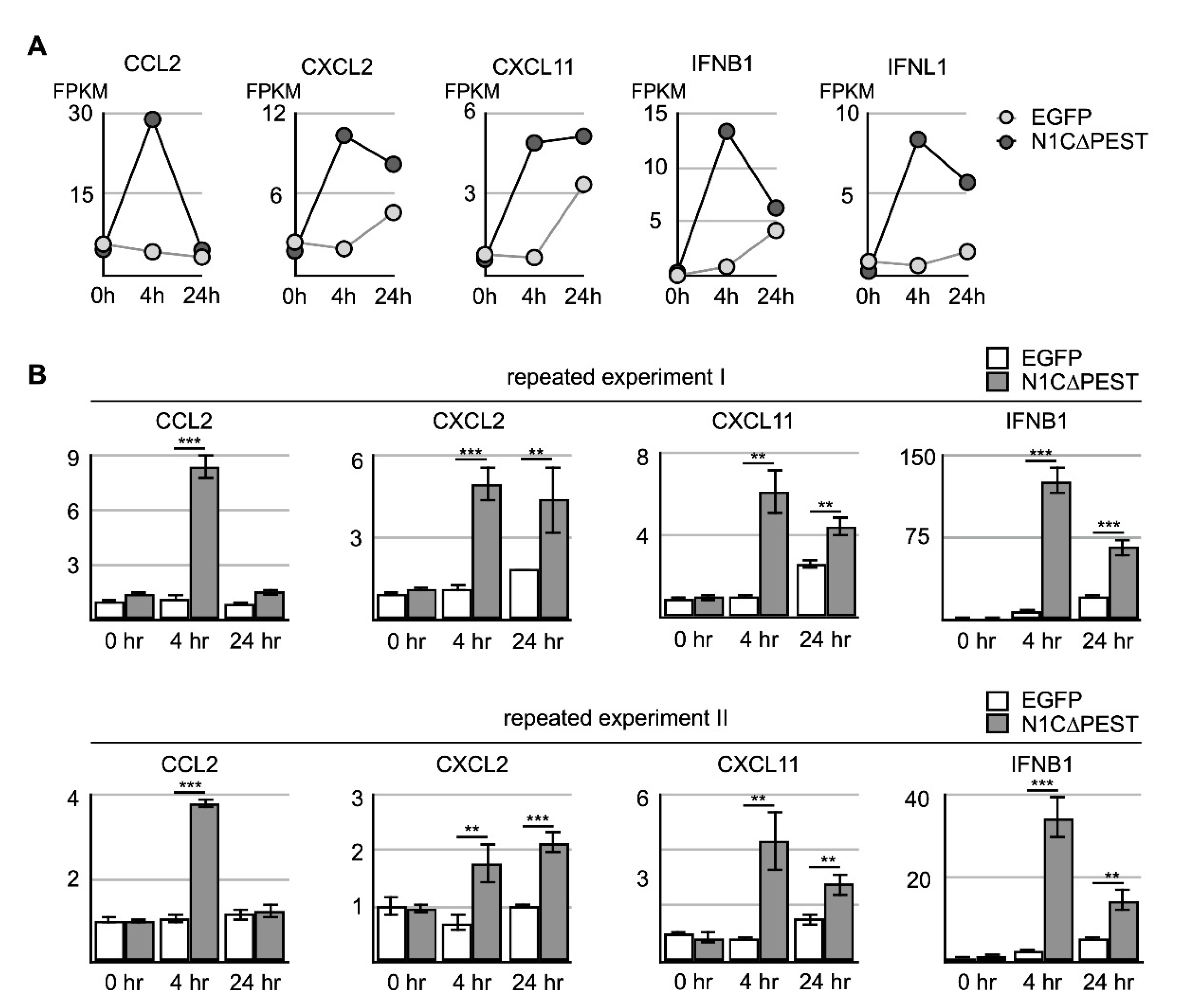 Ijms 21 04958 g005 Ijms 21 04958 g005