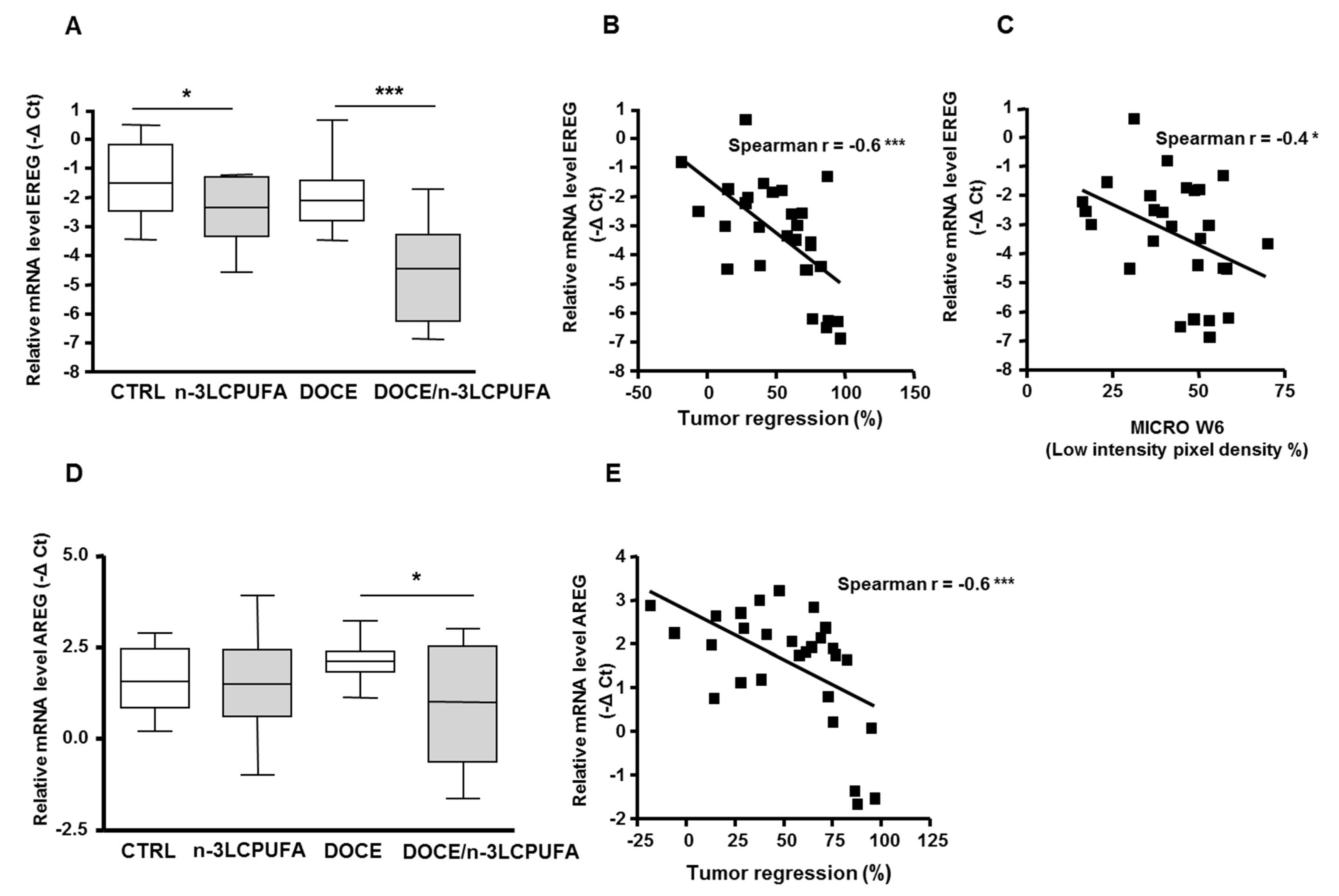 Ijms 21 04965 g003 Ijms 21 04965 g003