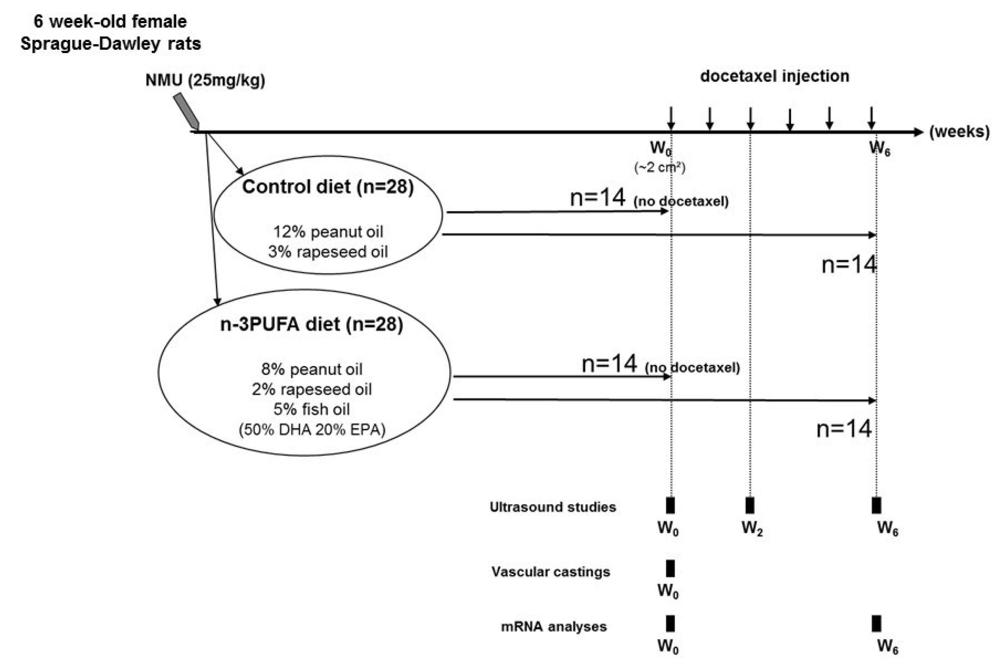 Ijms 21 04965 g004 Ijms 21 04965 g004