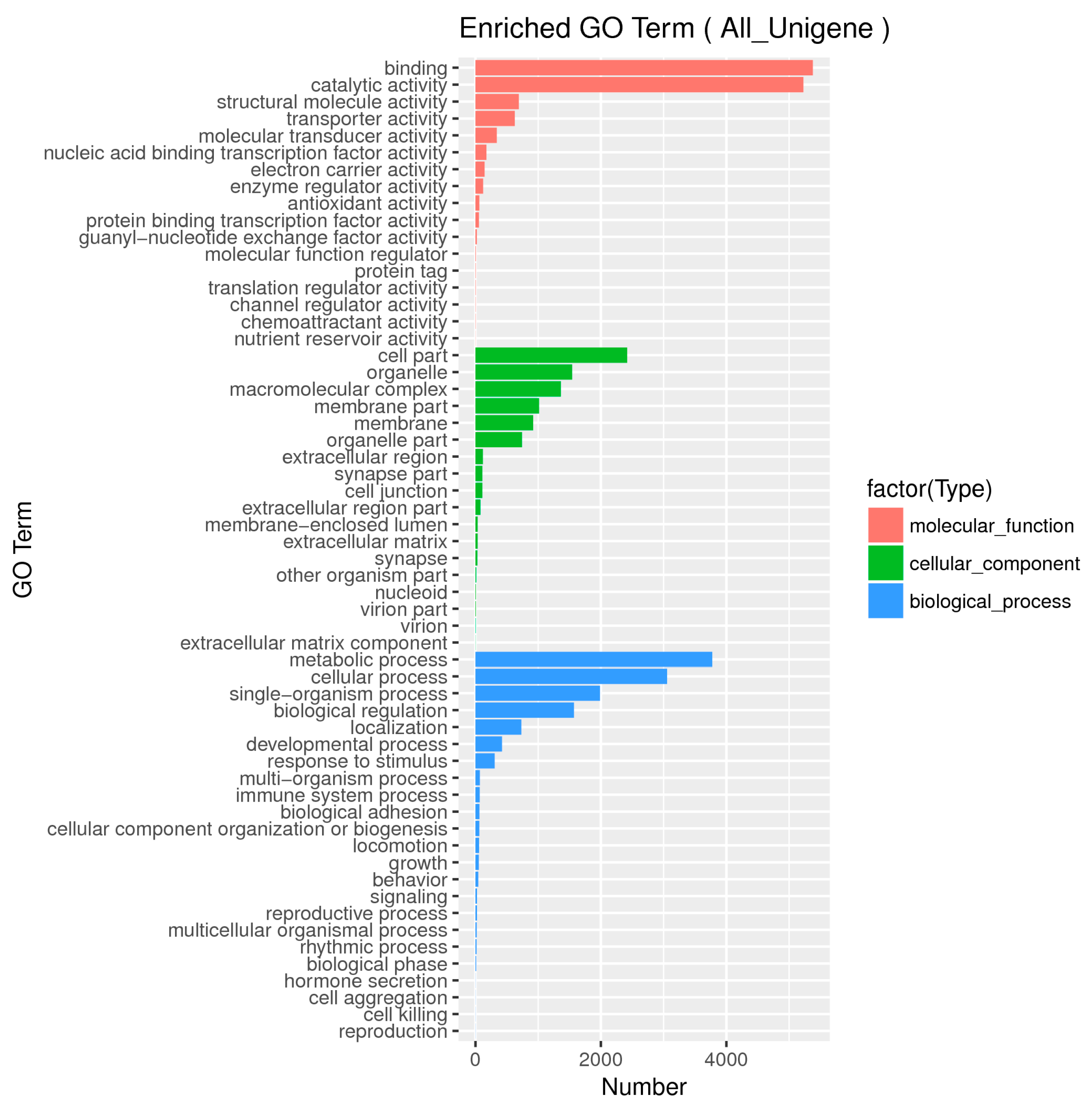 Ijms 21 04974 g004 Ijms 21 04974 g004