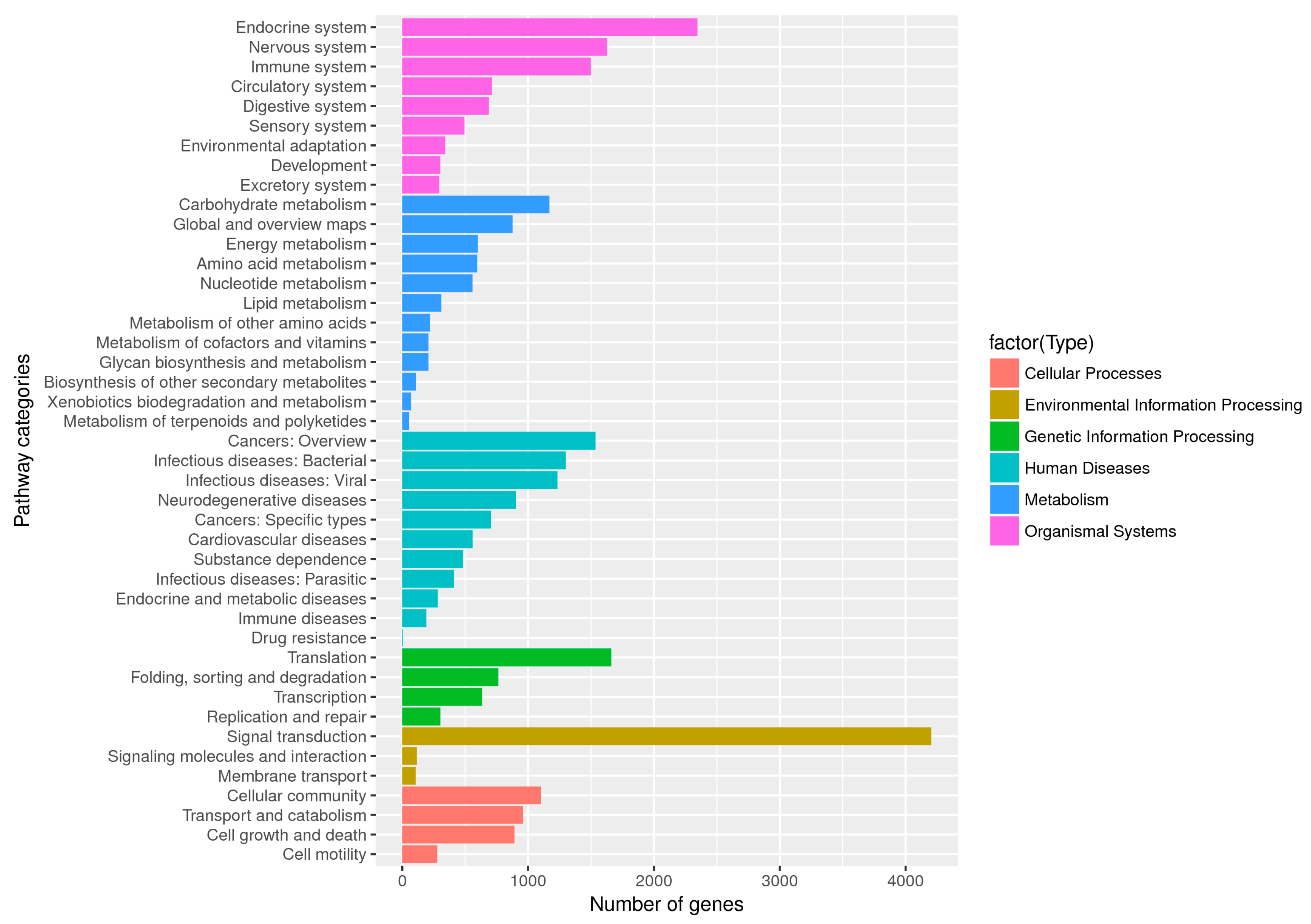 Ijms 21 04974 g006 Ijms 21 04974 g006