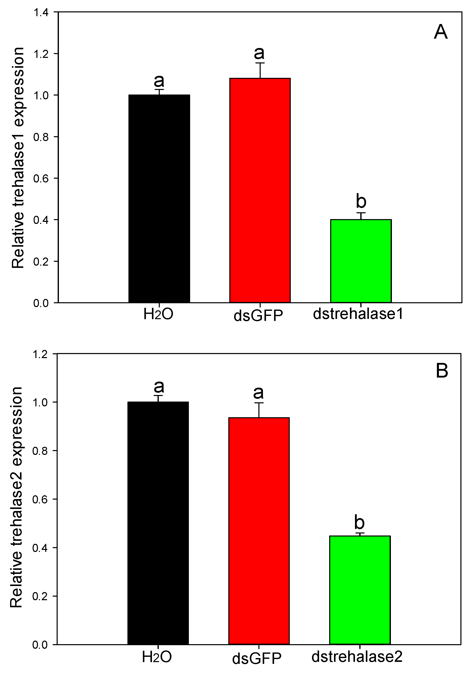 Ijms 21 04974 g009 Ijms 21 04974 g009
