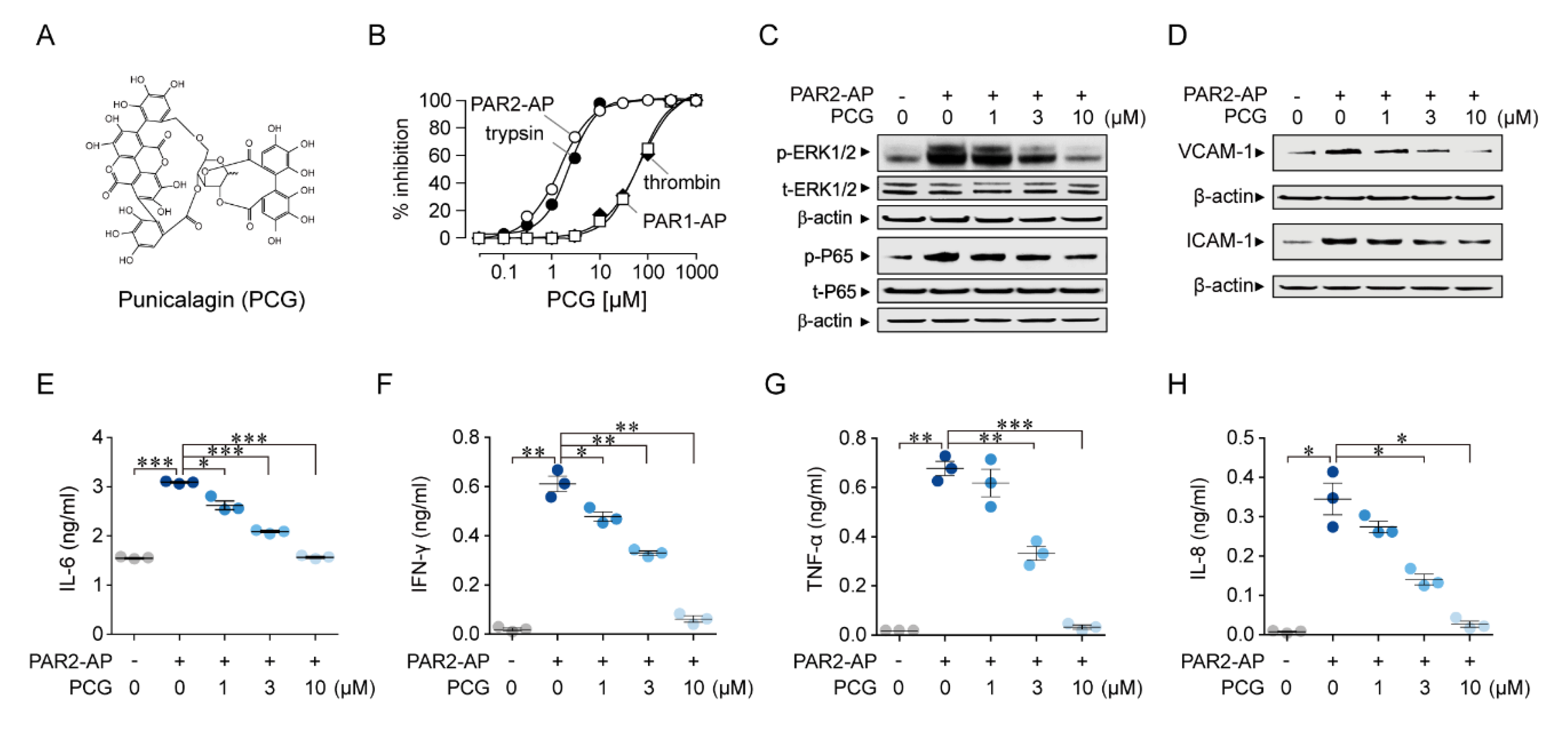 Ijms 21 04975 g001 Ijms 21 04975 g001