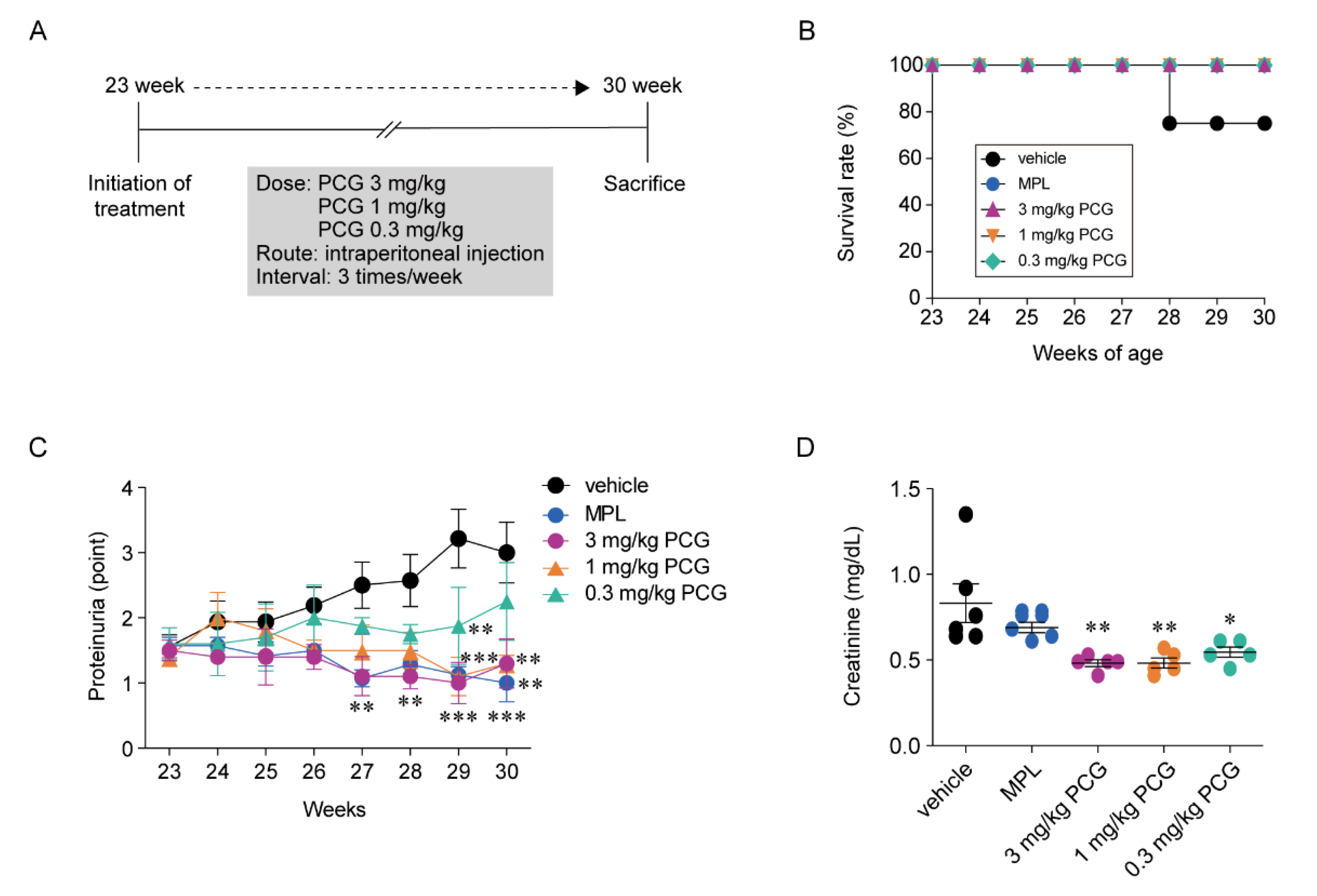 Ijms 21 04975 g002 Ijms 21 04975 g002