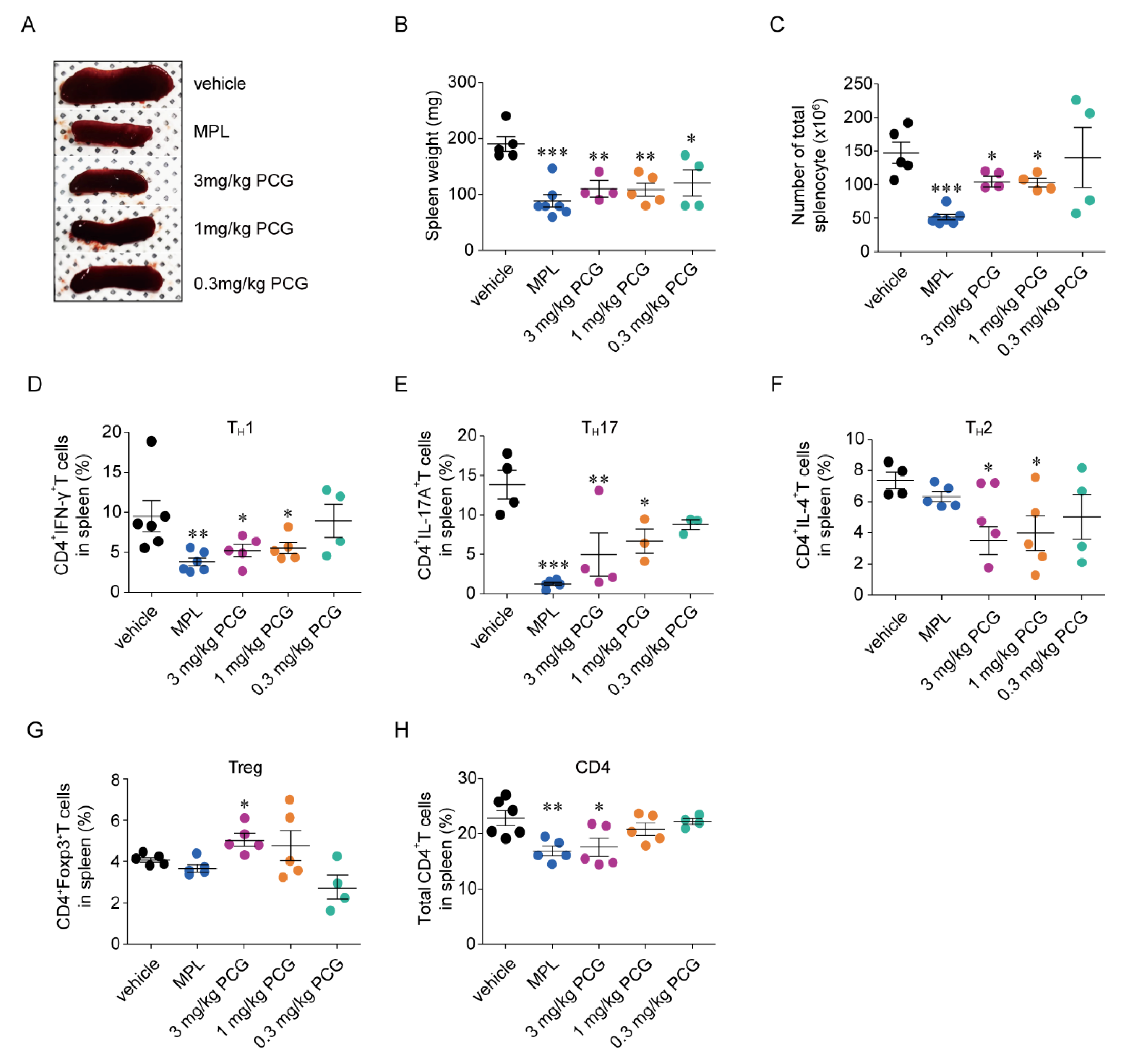 Ijms 21 04975 g005 Ijms 21 04975 g005