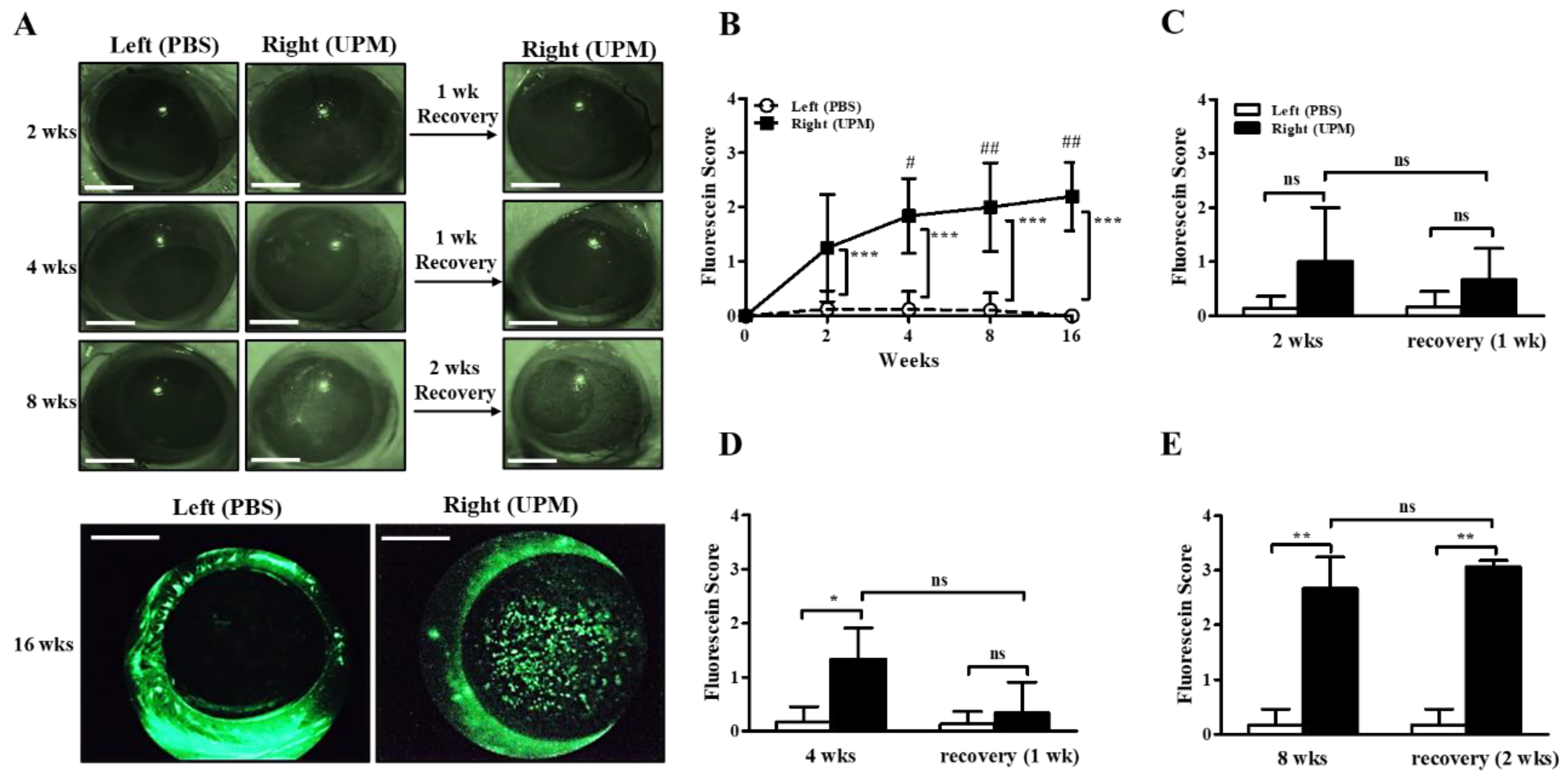 Ijms 21 04976 g002 Ijms 21 04976 g002