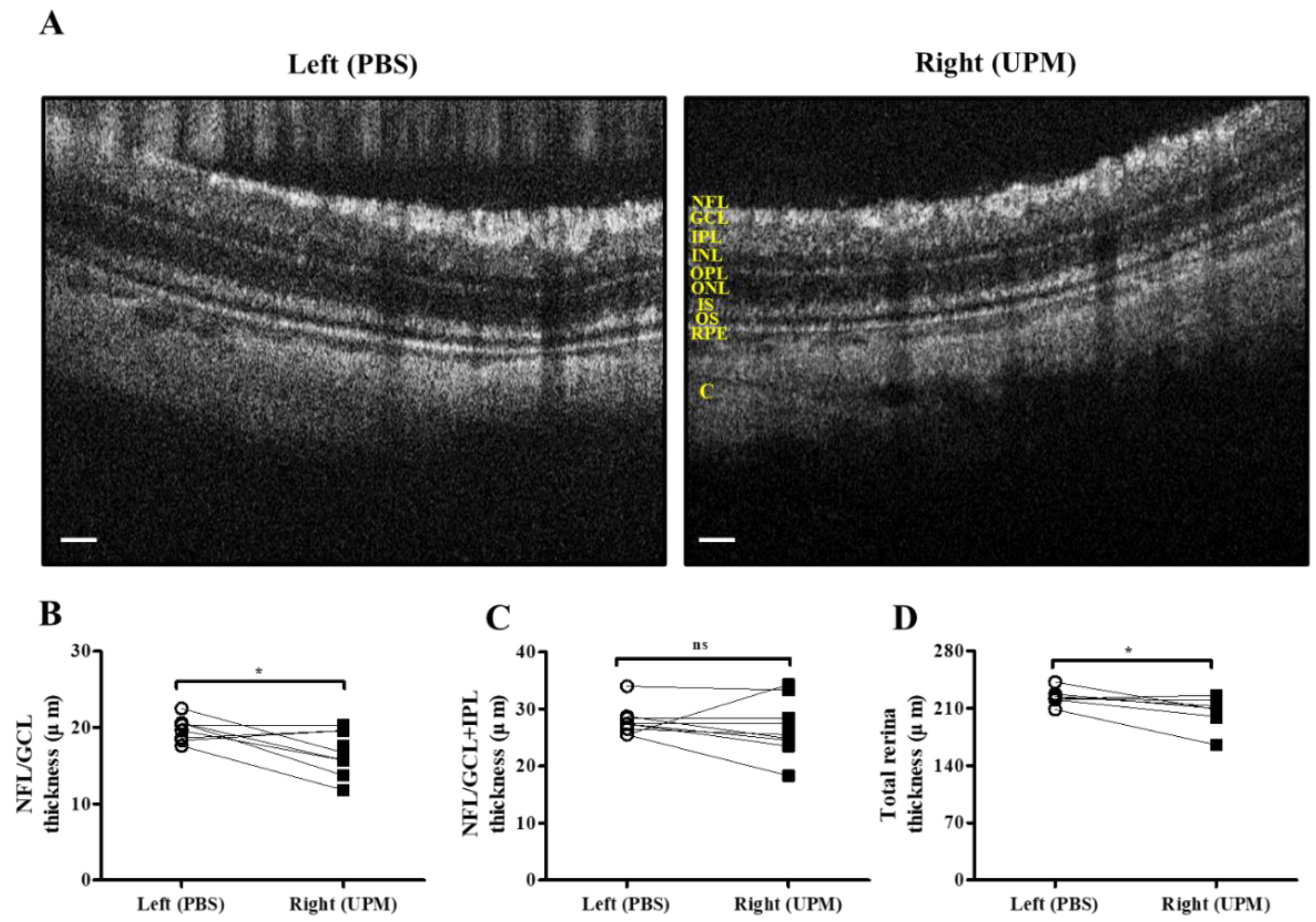 Ijms 21 04976 g007 Ijms 21 04976 g007