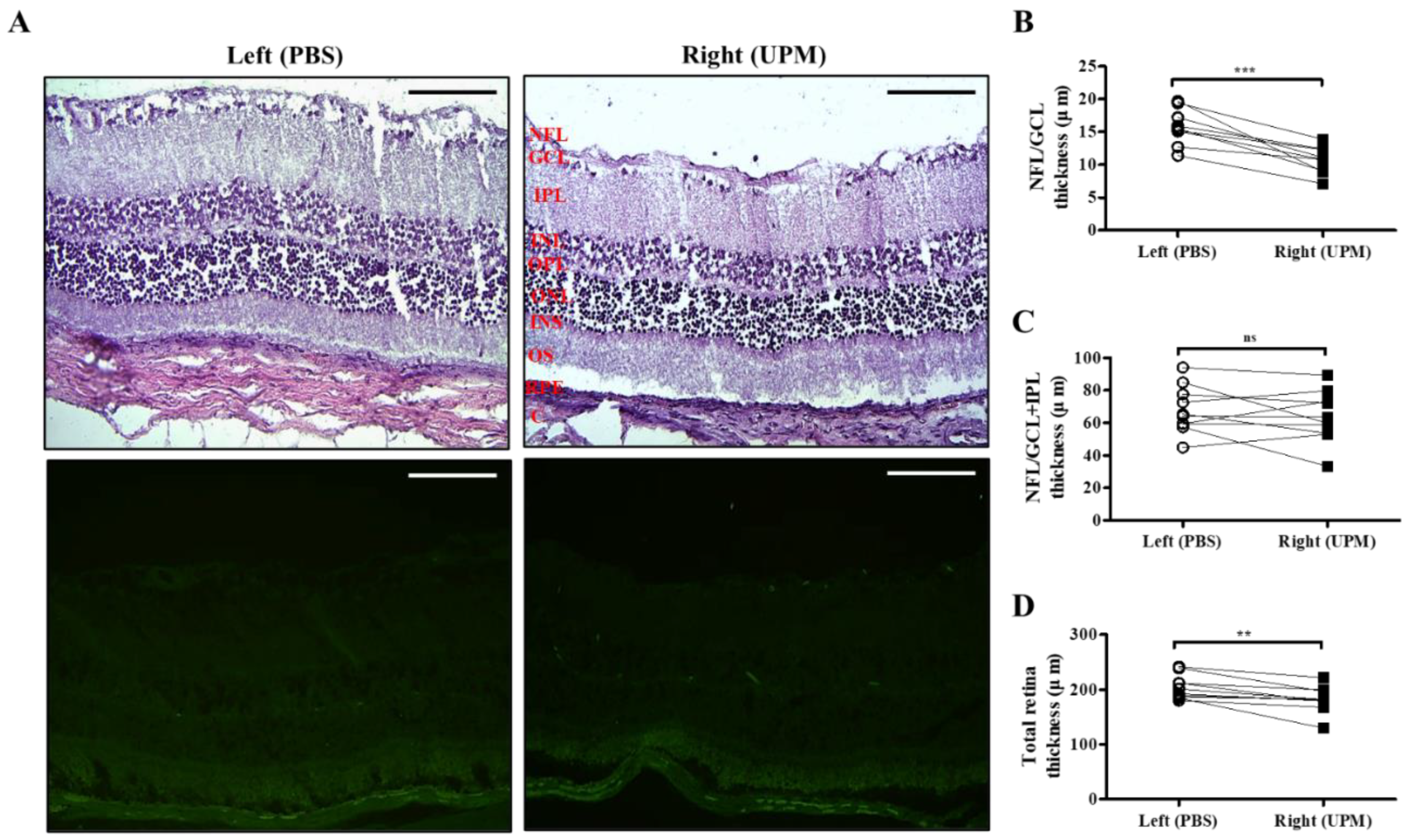 Ijms 21 04976 g008 Ijms 21 04976 g008