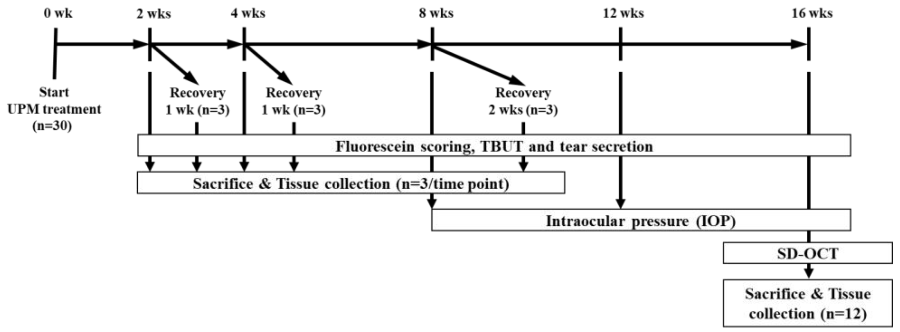 Ijms 21 04976 g011 Ijms 21 04976 g011