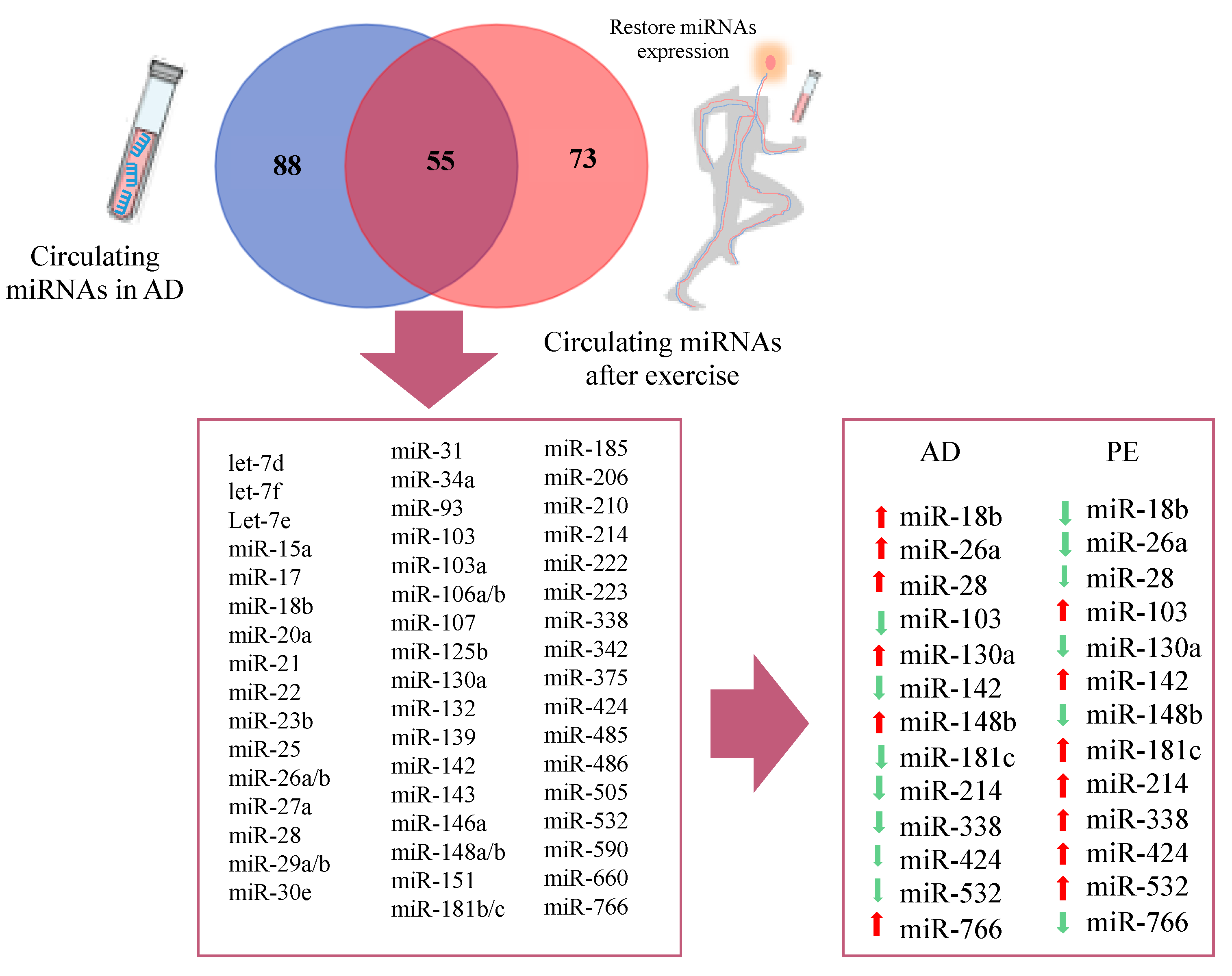 Ijms Free Full Text Modulation Of Micrornas As A Potential Molecular Mechanism Involved In The Beneficial Actions Of Physical Exercise In Alzheimer Disease Html Ijms Free Full Text Modulation Of Micrornas As A Potential Molecular Mechanism Involved In The Beneficial Actions Of Physical Exercise In Alzheimer Disease Html