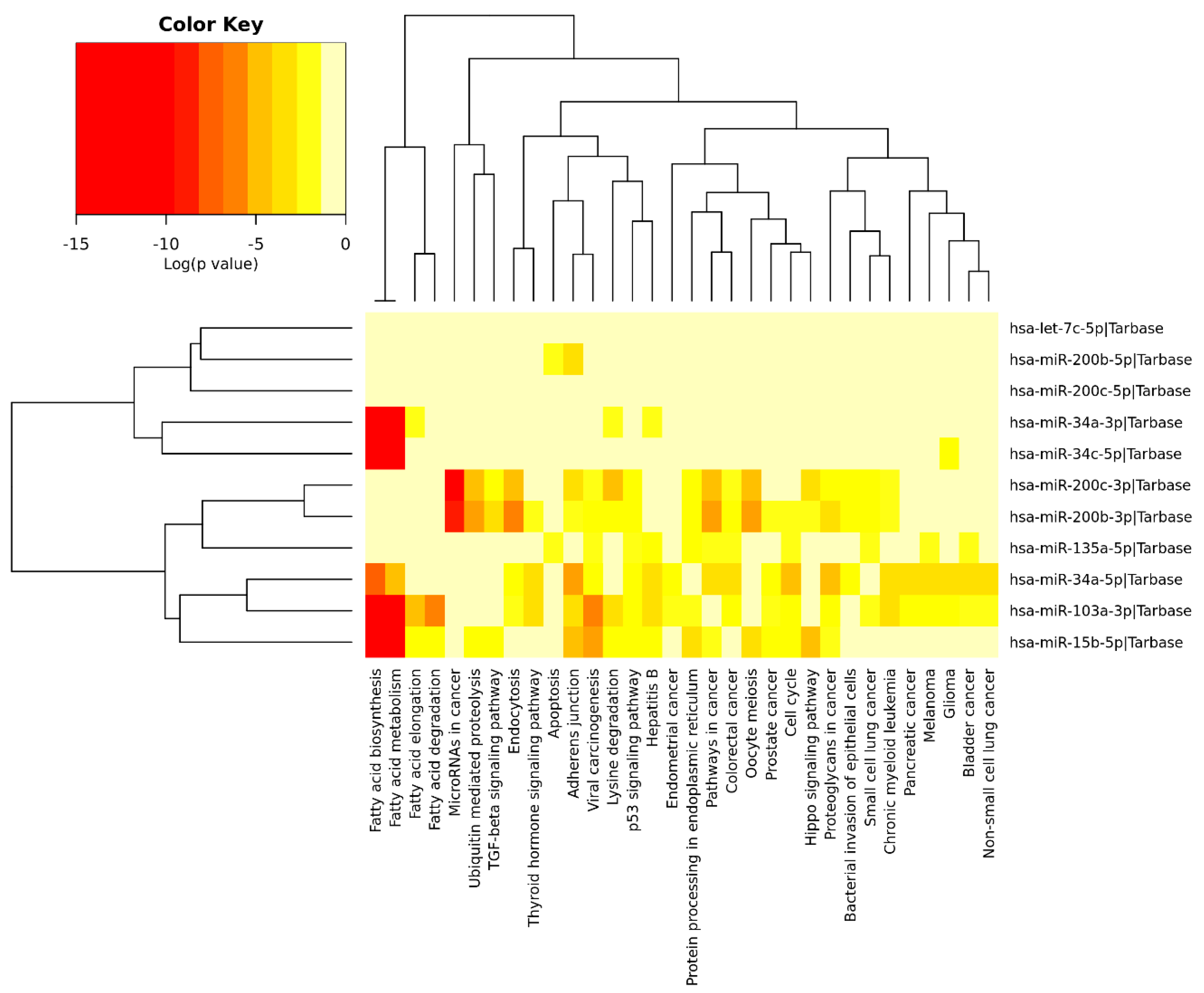 Ijms 21 04977 g005 Ijms 21 04977 g005