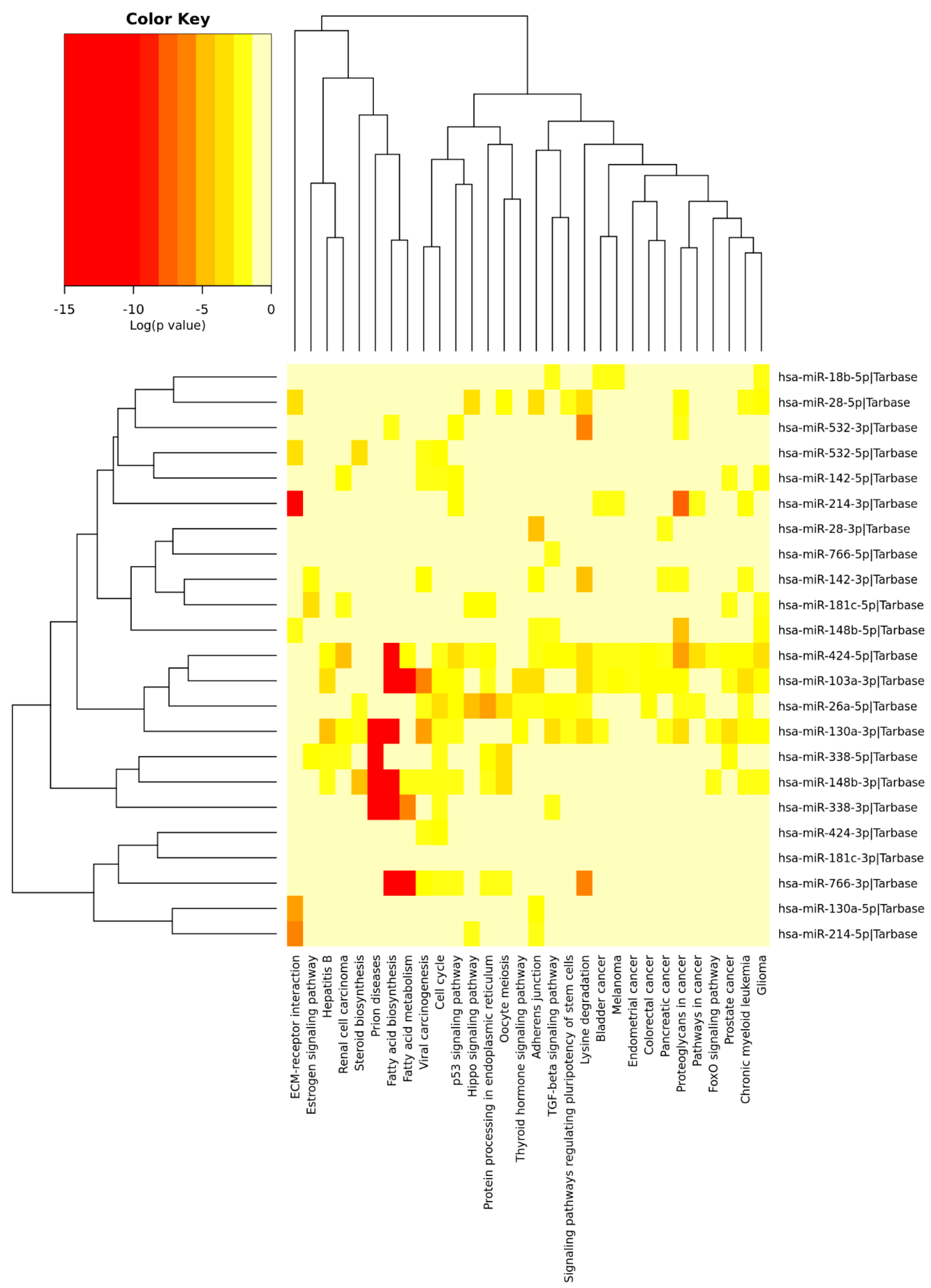 Ijms 21 04977 g006 Ijms 21 04977 g006