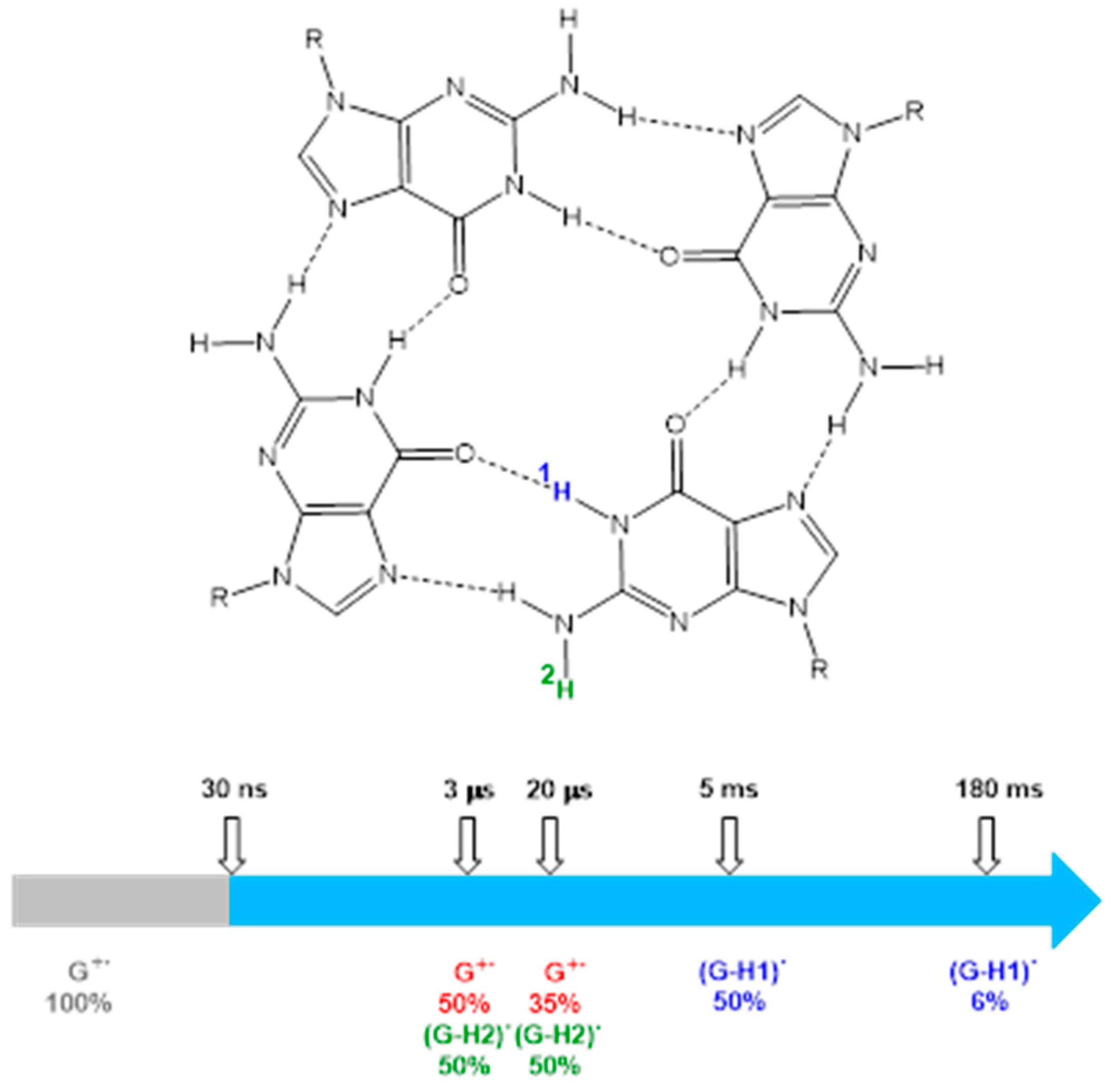 Ijms 21 04981 sch002