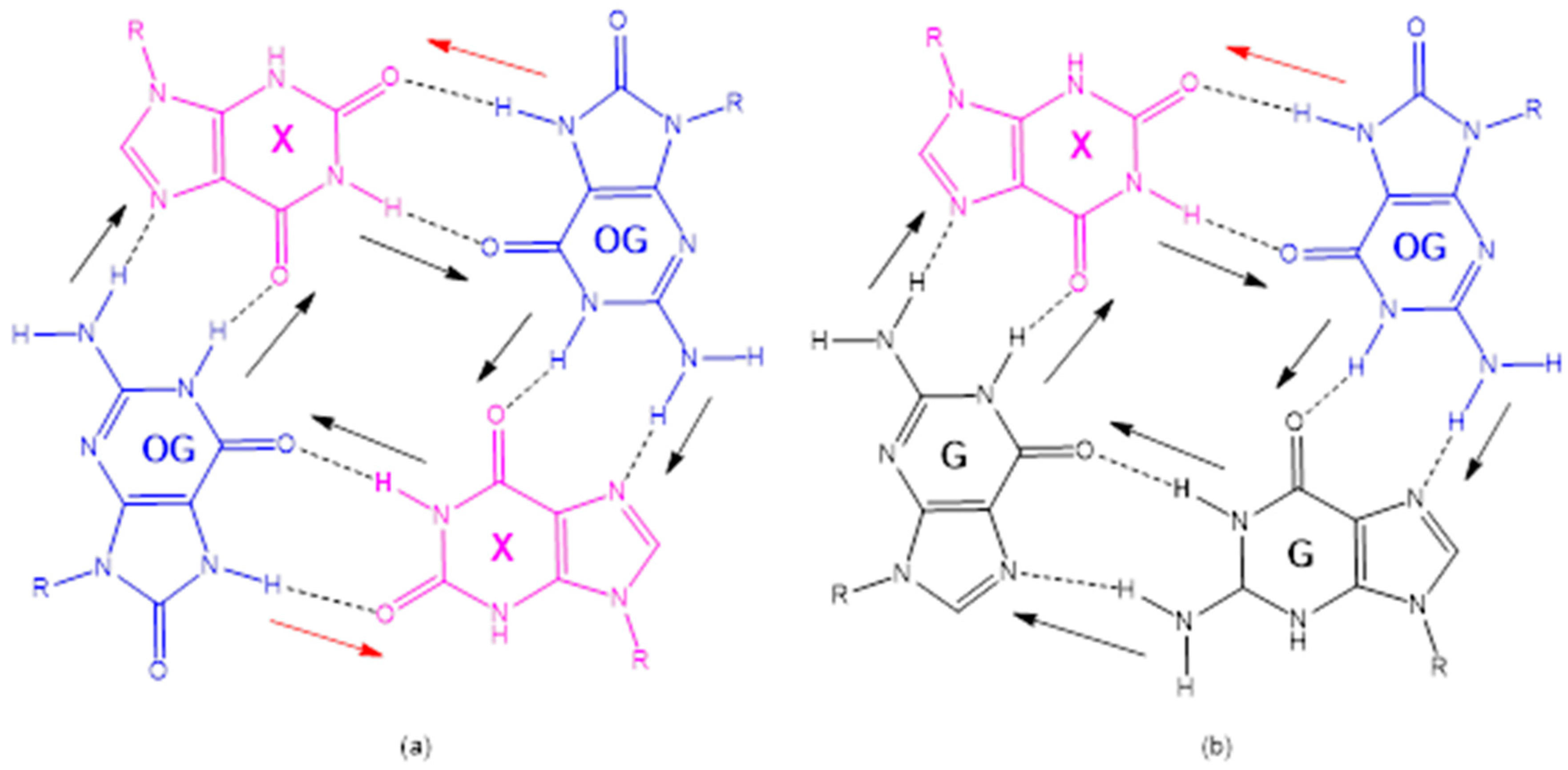 Ijms 21 04981 sch003
