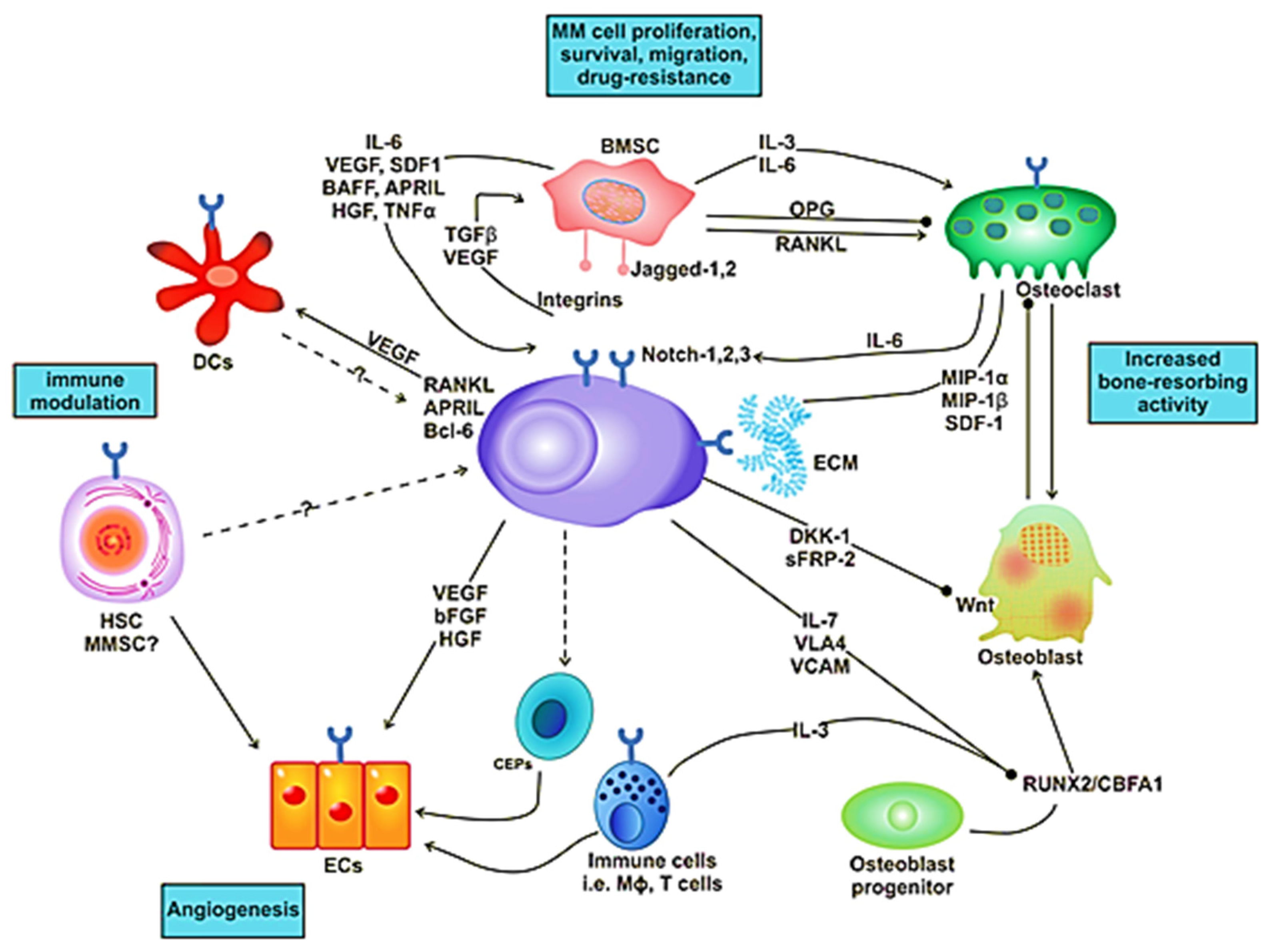 Ijms Free Full Text Cytokine Mediated Dysregulation Of Signaling