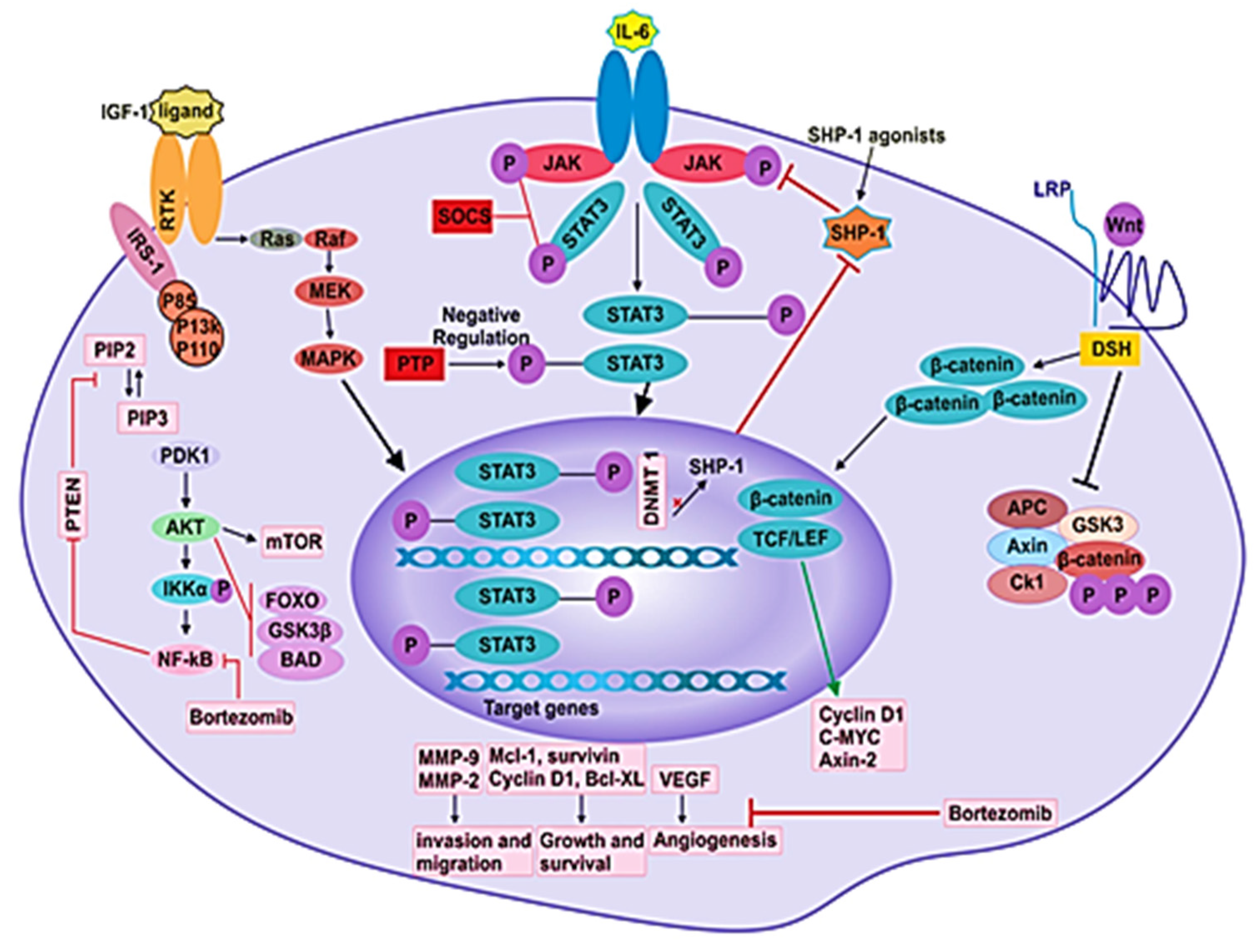 Cytokine-Mediated Dysregulation of Signaling Pathways in the