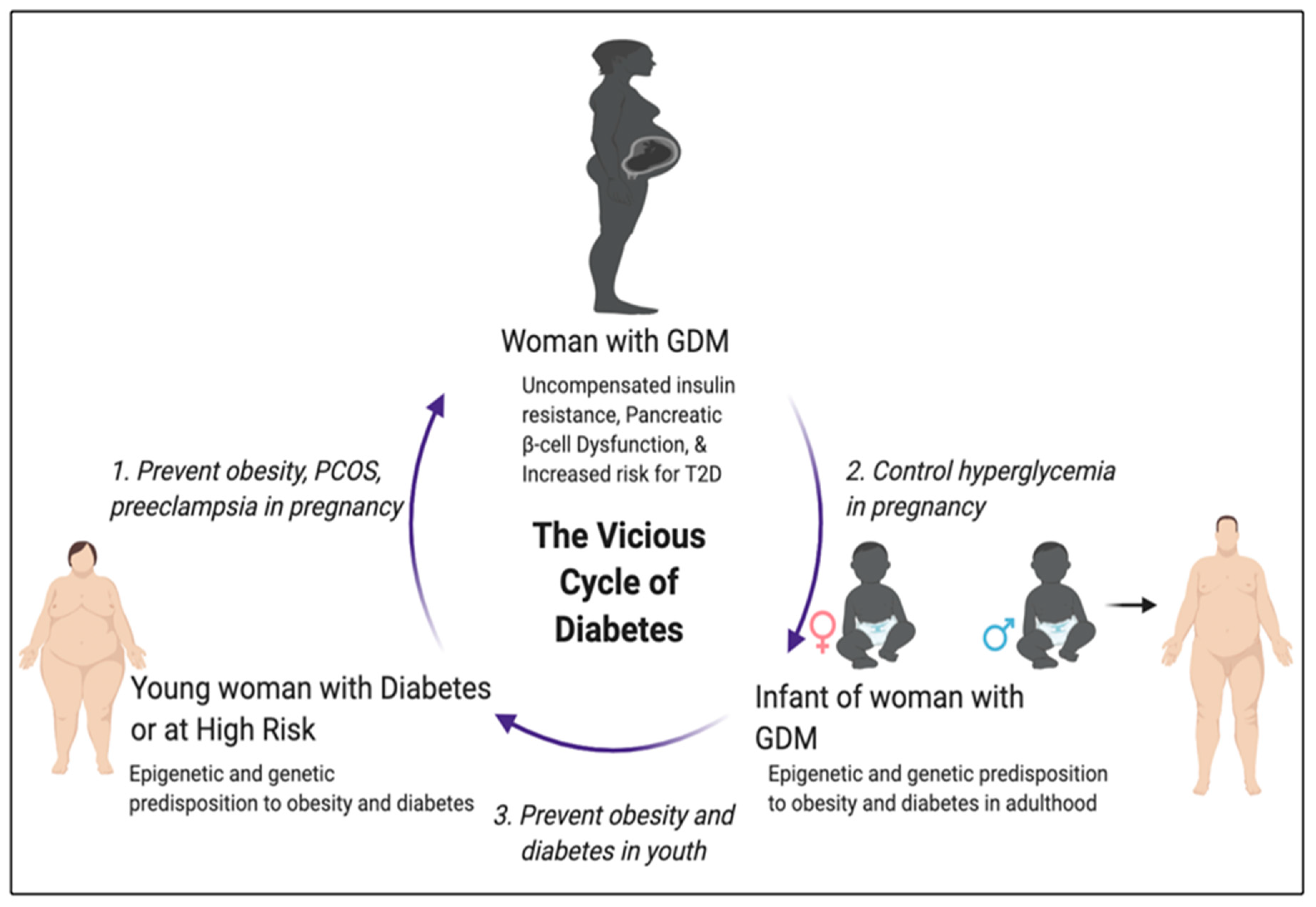 gestational diabetes ncbi)