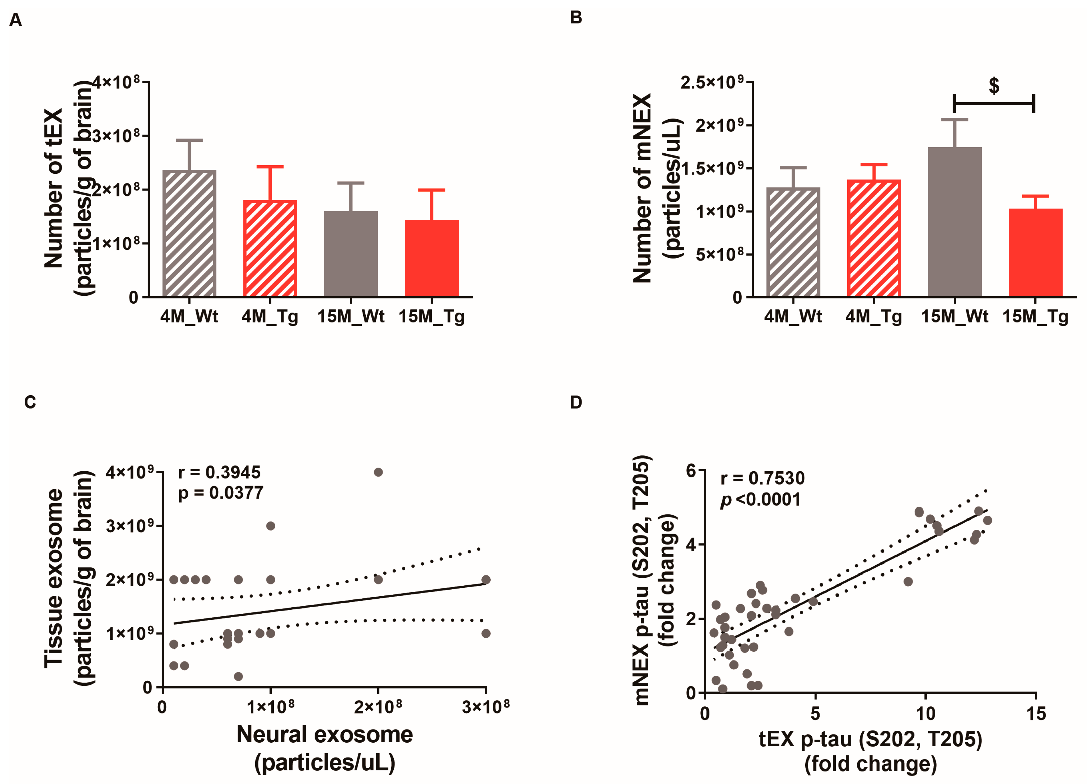 Ijms 21 05007 g007 Ijms 21 05007 g007