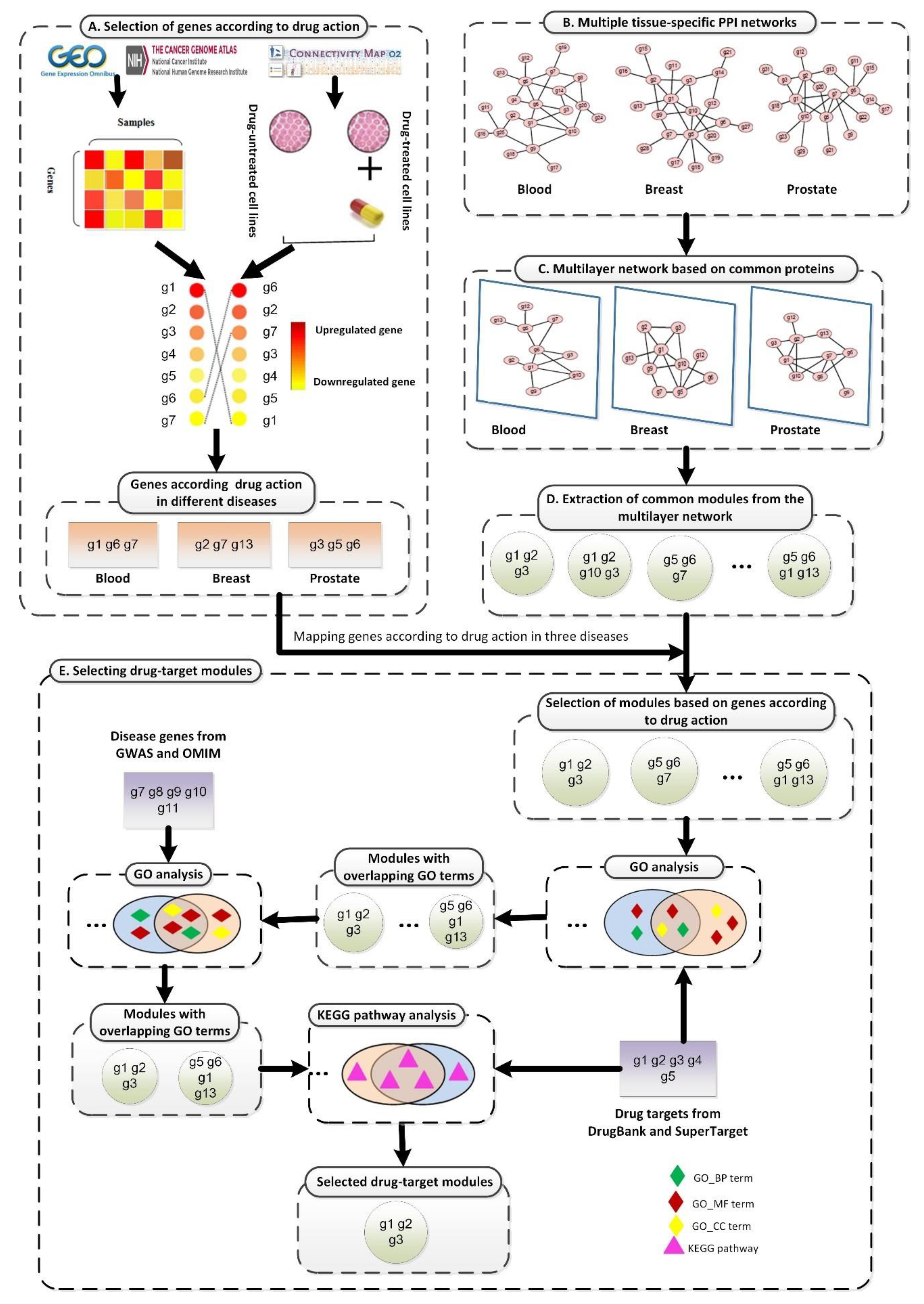 Ijms 21 05014 g001 Ijms 21 05014 g001