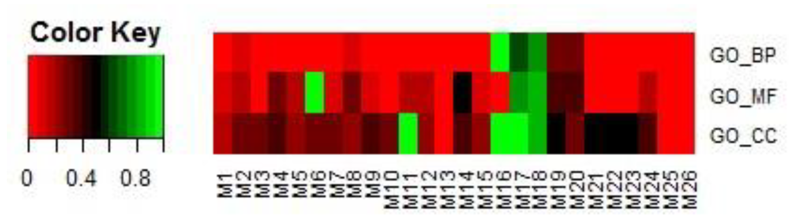 Ijms 21 05014 g009 Ijms 21 05014 g009