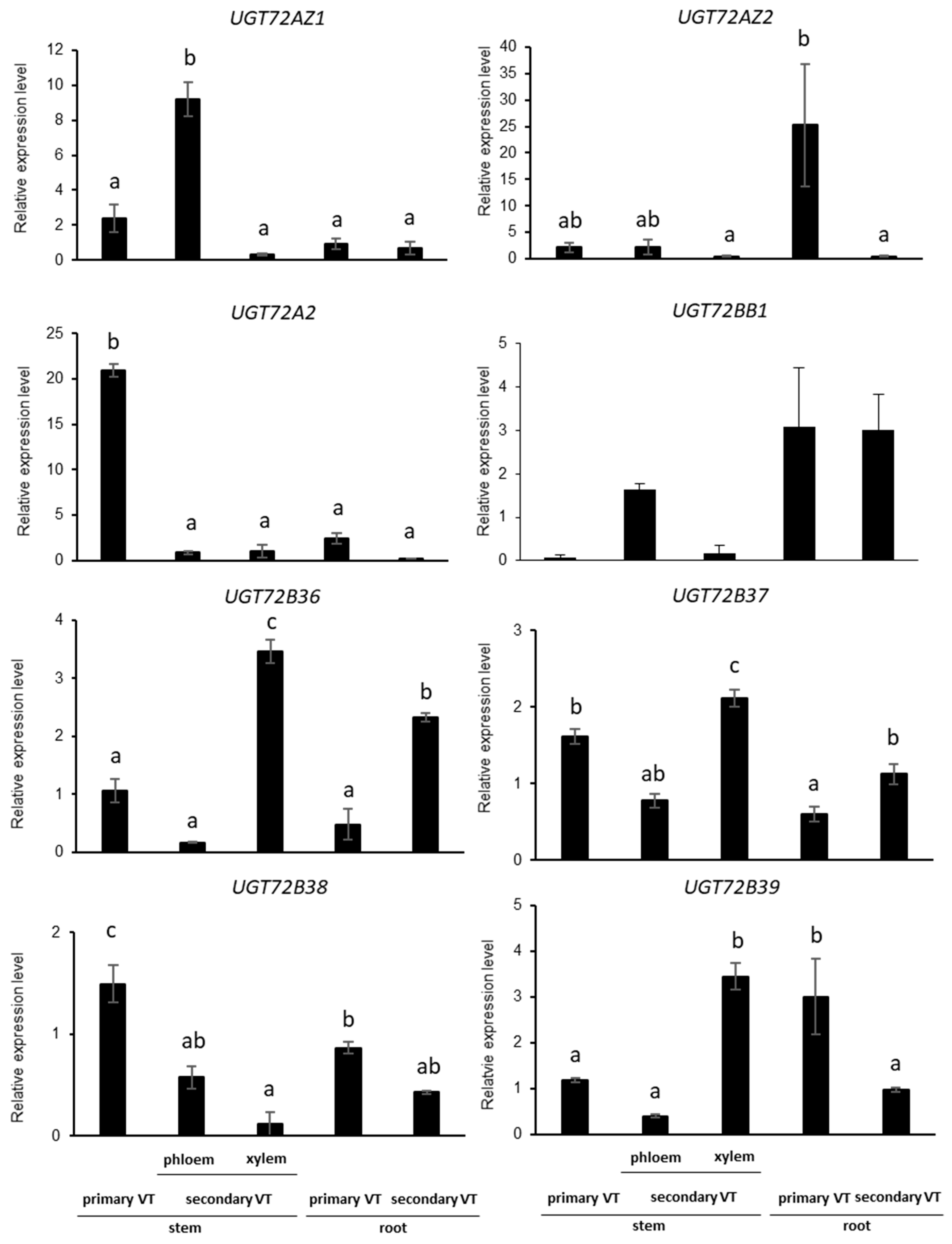 Ijms 21 05018 g005 Ijms 21 05018 g005