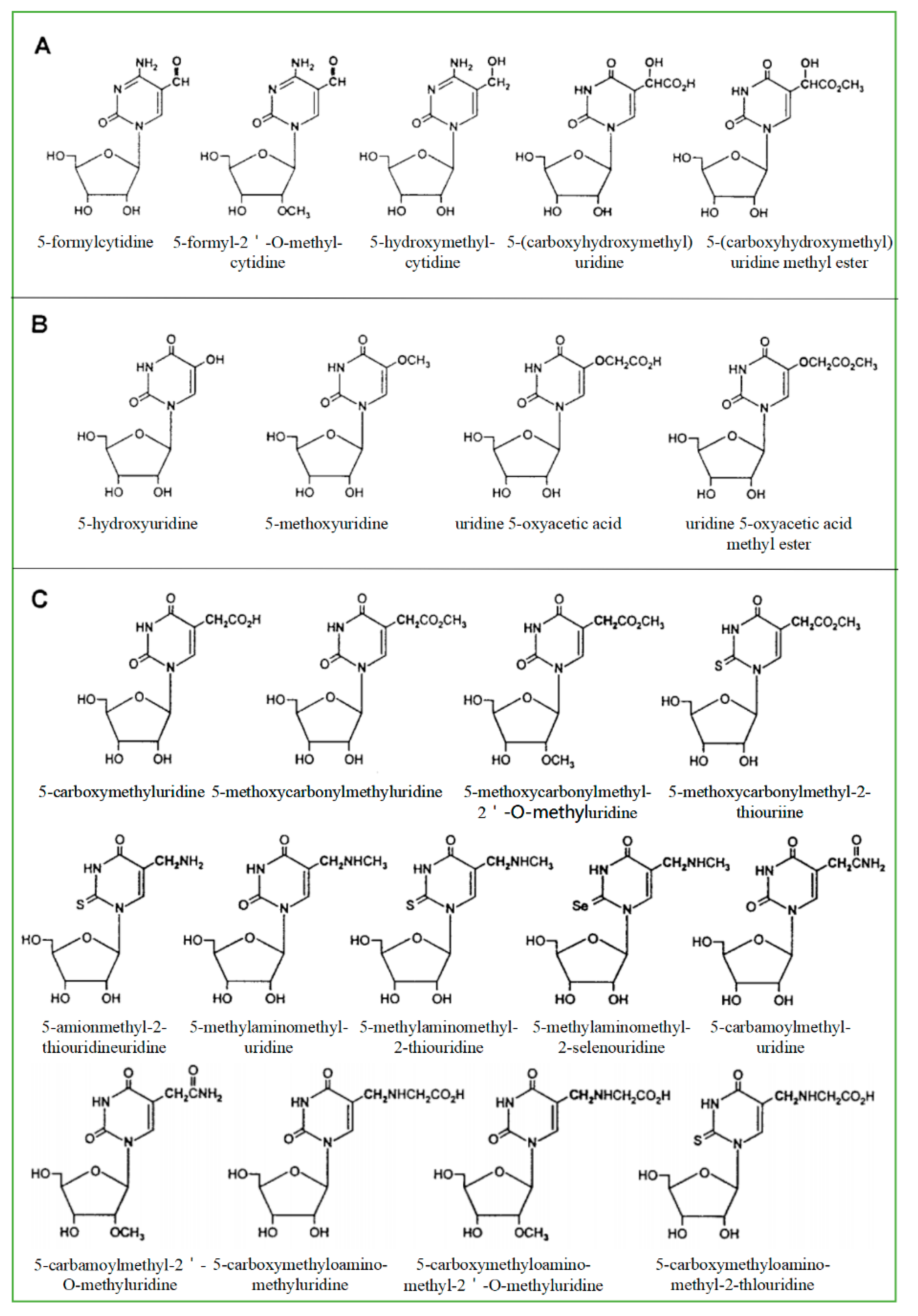 Ijms 21 05022 g001 Ijms 21 05022 g001
