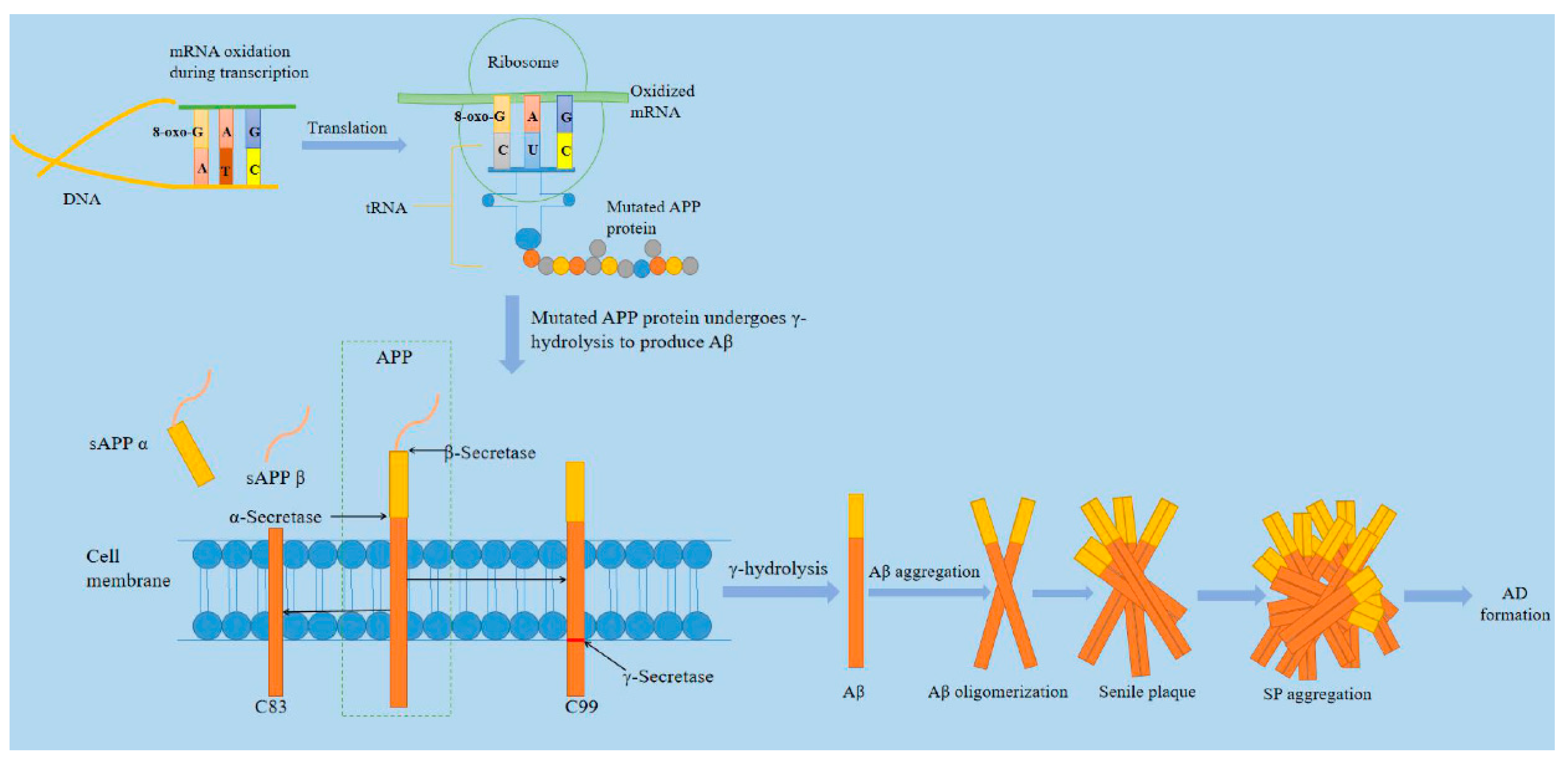 Ijms 21 05022 g002 Ijms 21 05022 g002