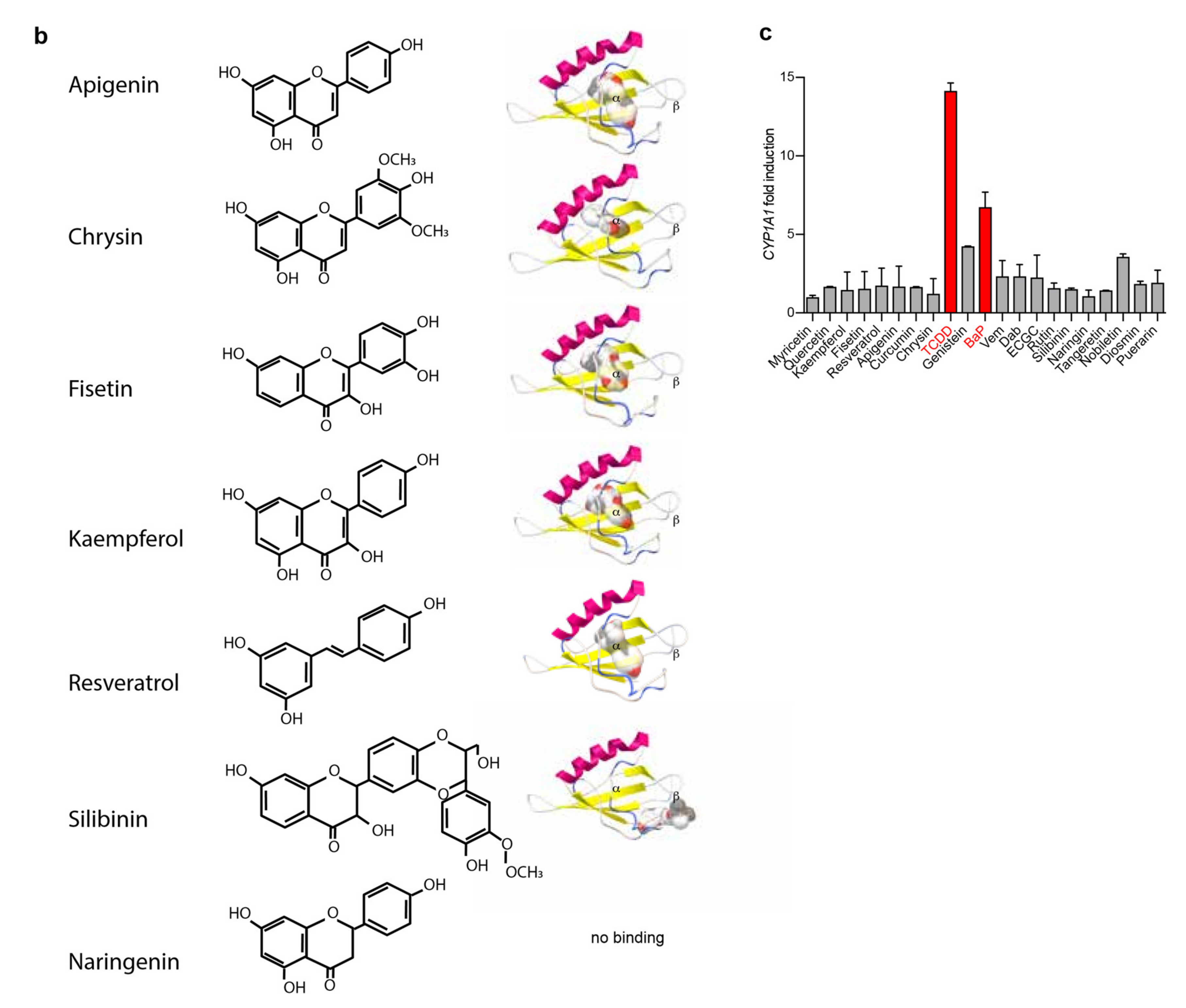 Ijms 21 05025 g001b Ijms 21 05025 g001b