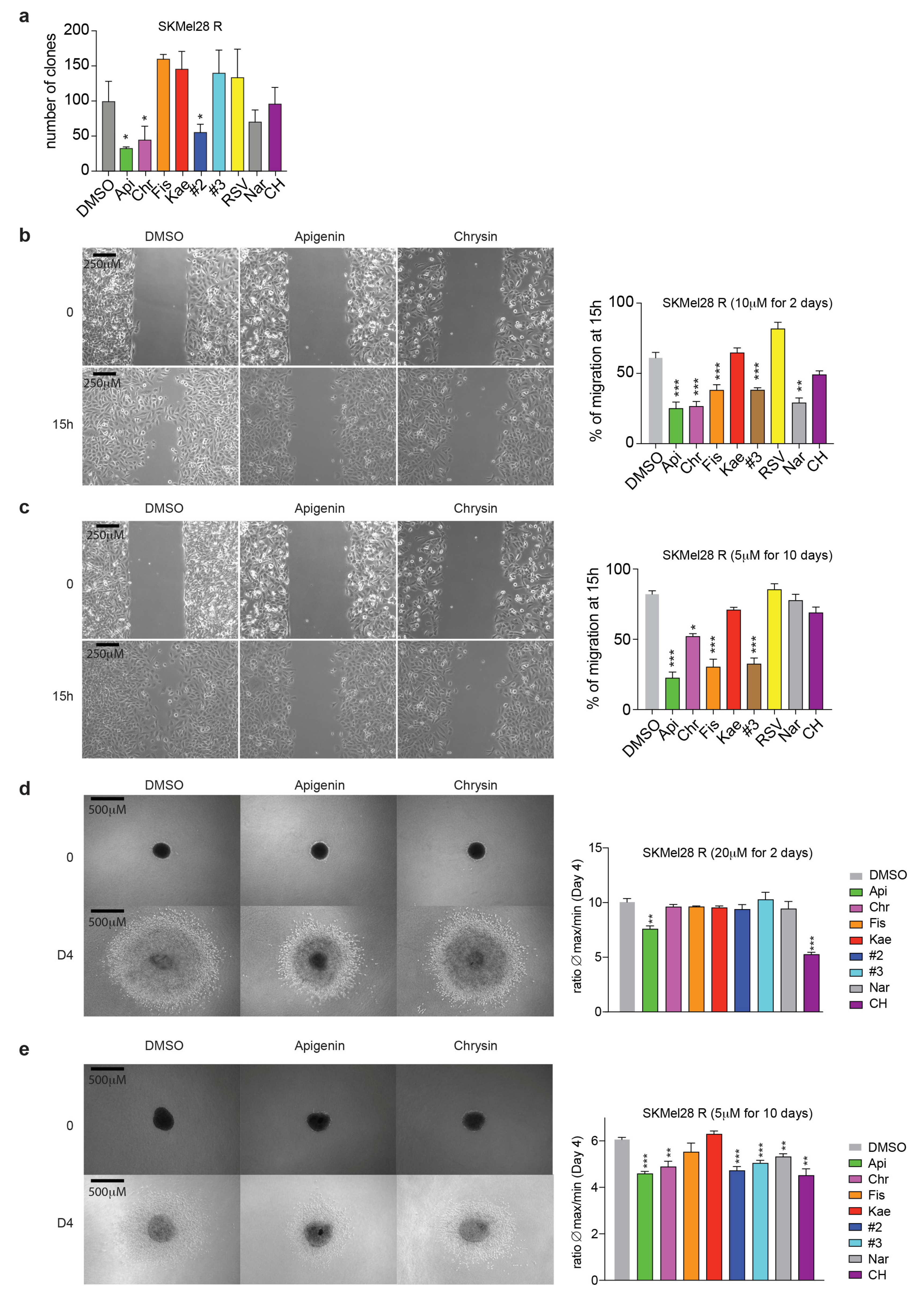 Ijms 21 05025 g004 Ijms 21 05025 g004