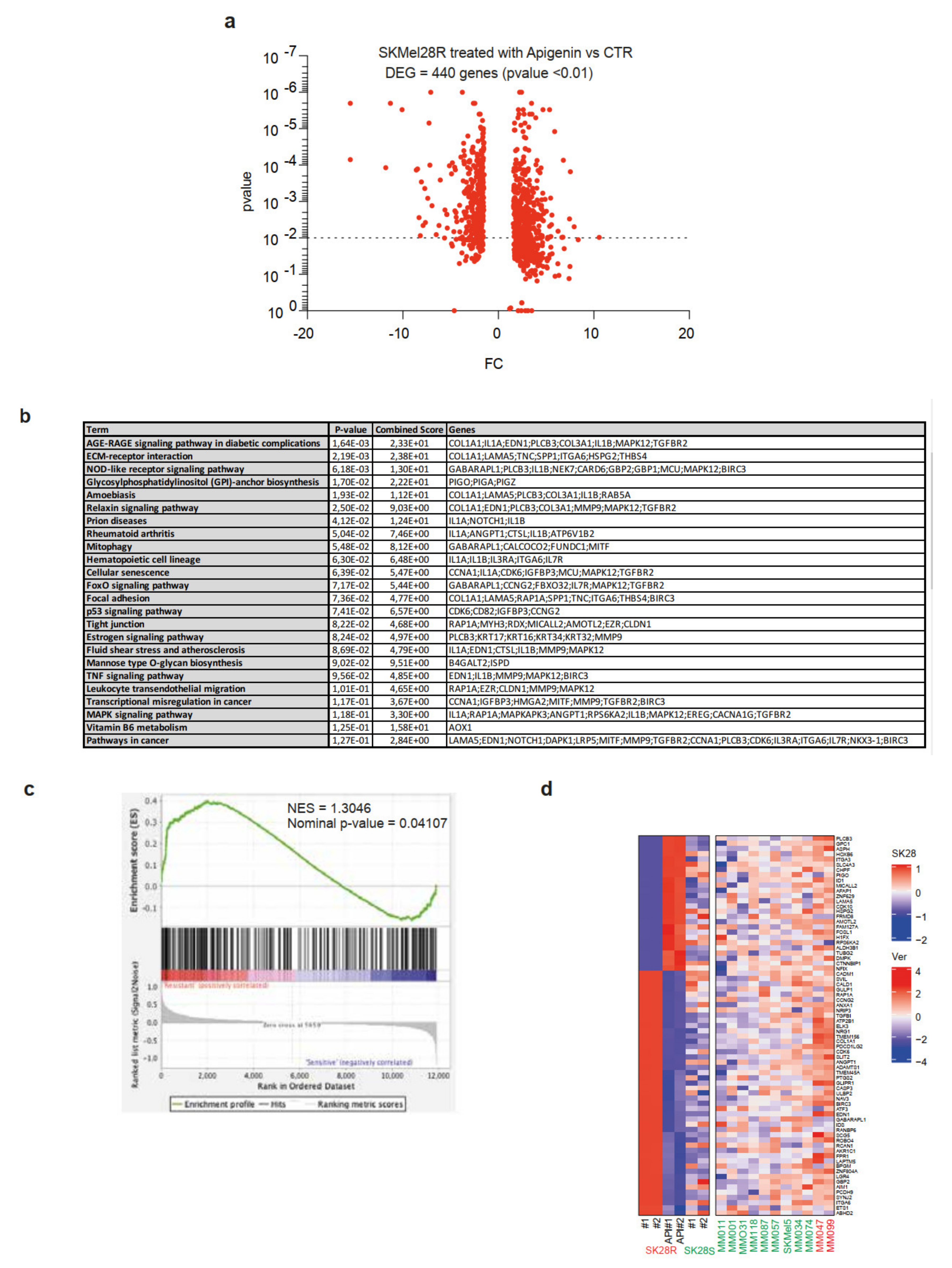 Ijms 21 05025 g005 Ijms 21 05025 g005