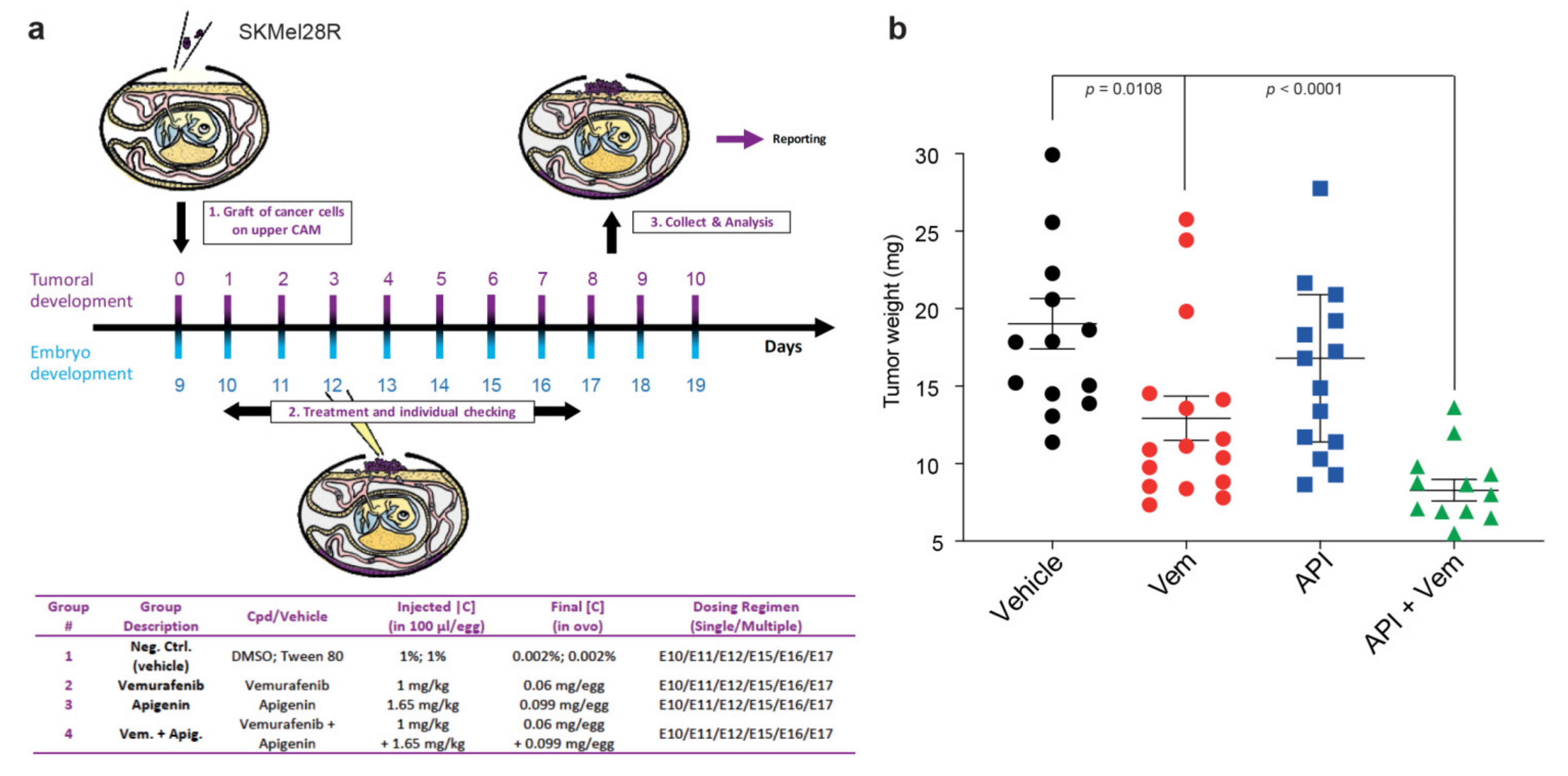Ijms 21 05025 g006 Ijms 21 05025 g006