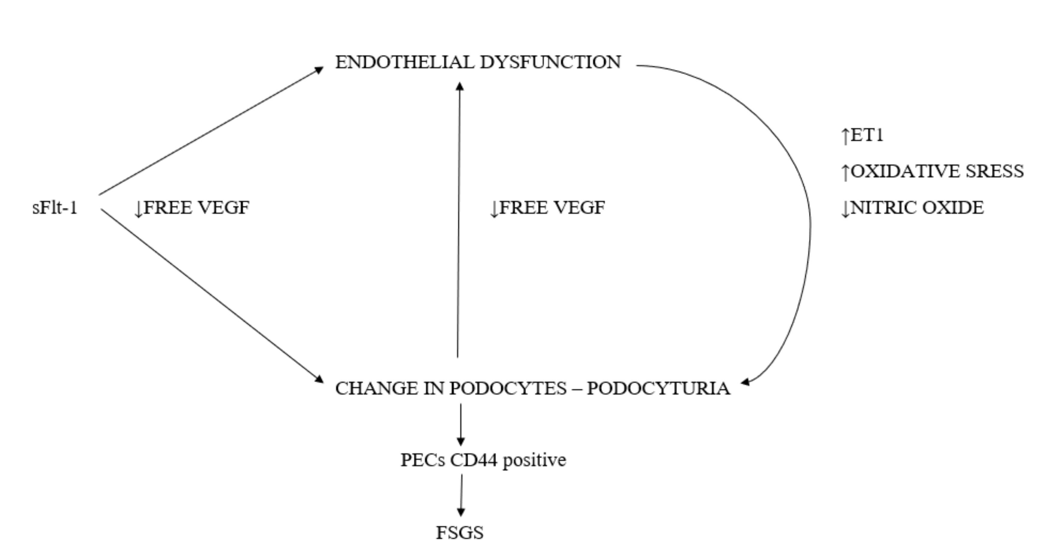 Ijms 21 05051 g002 Ijms 21 05051 g002