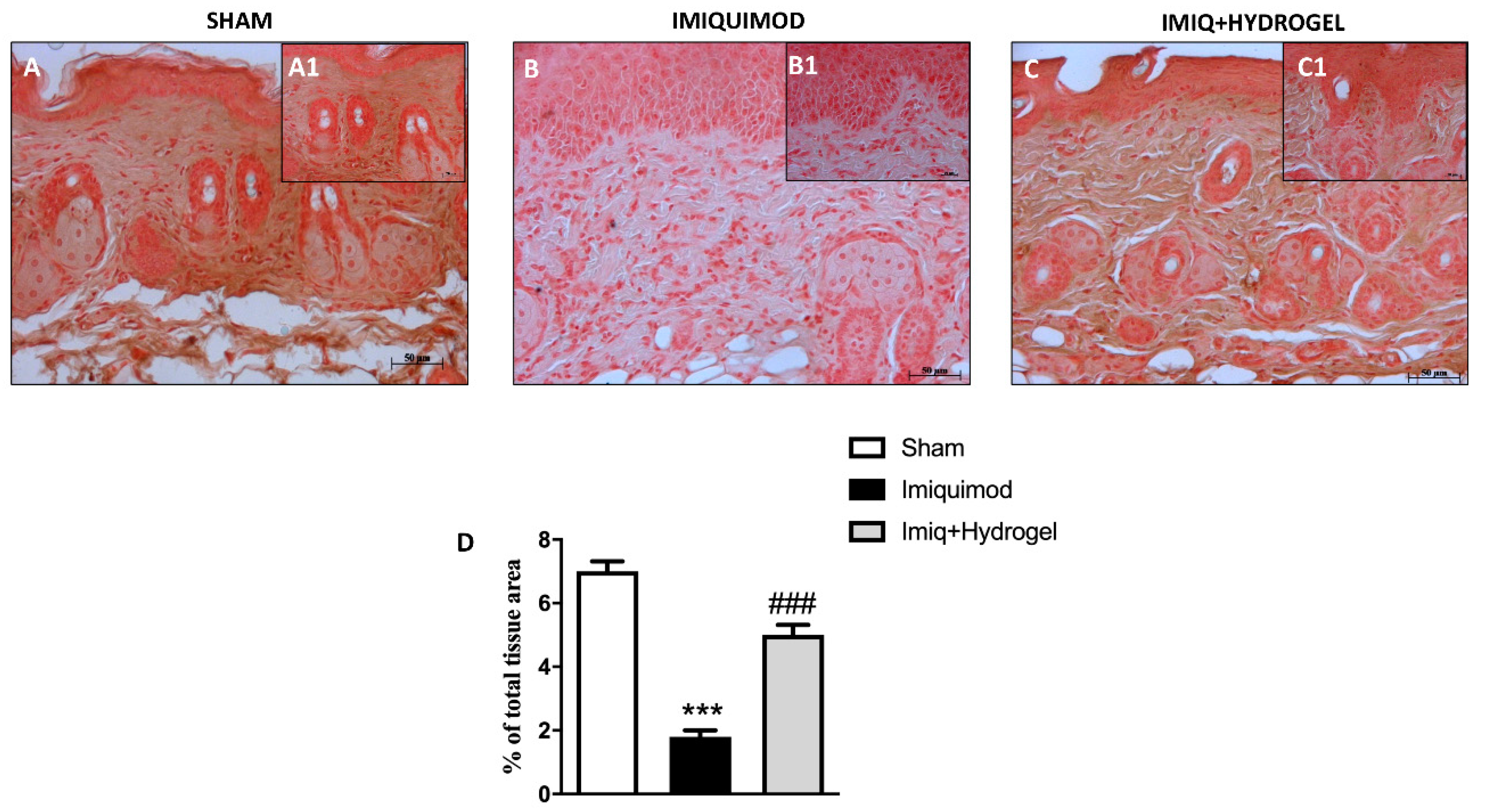 Ijms 21 05053 g003 Ijms 21 05053 g003