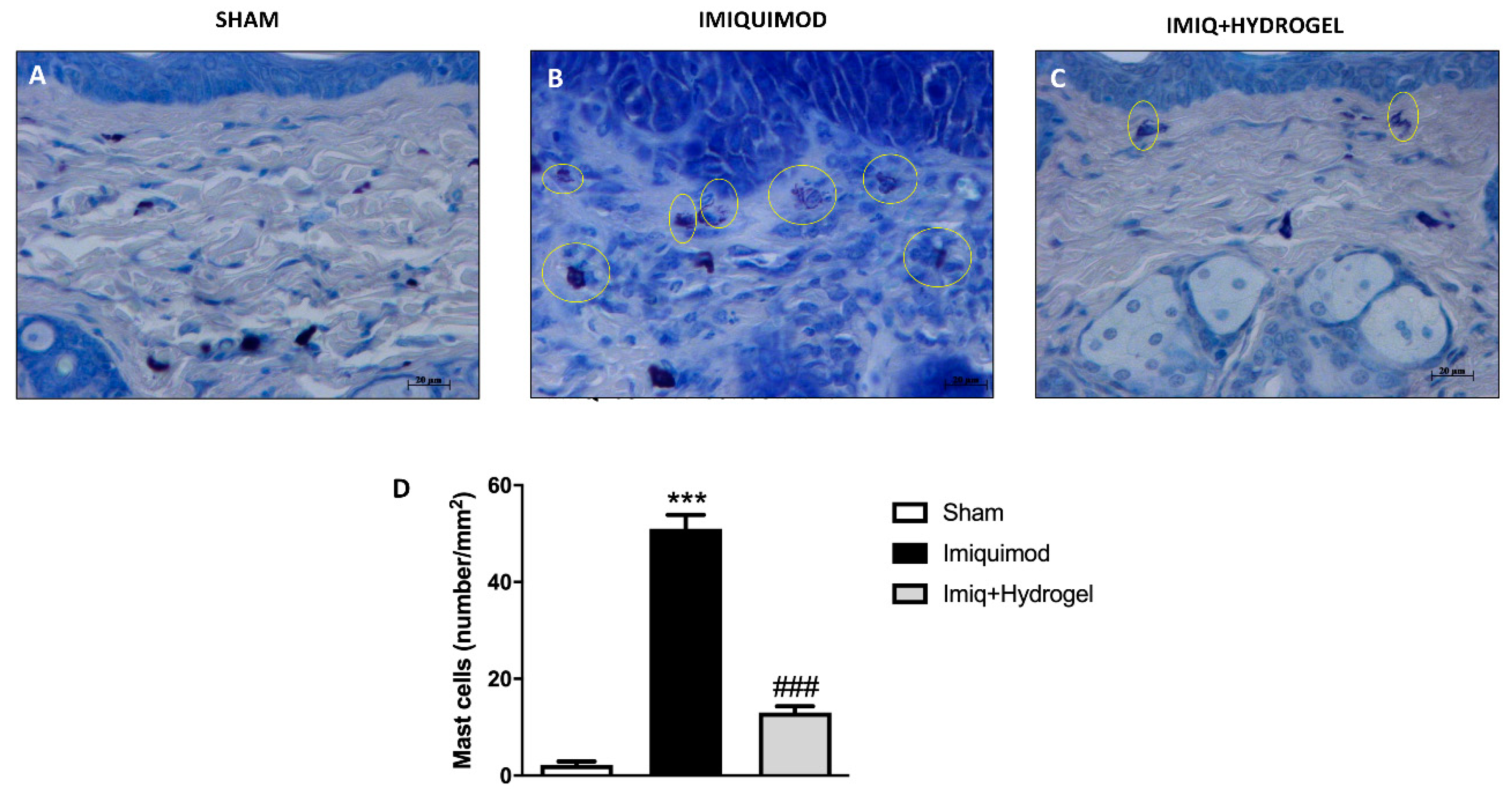 Ijms 21 05053 g005 Ijms 21 05053 g005