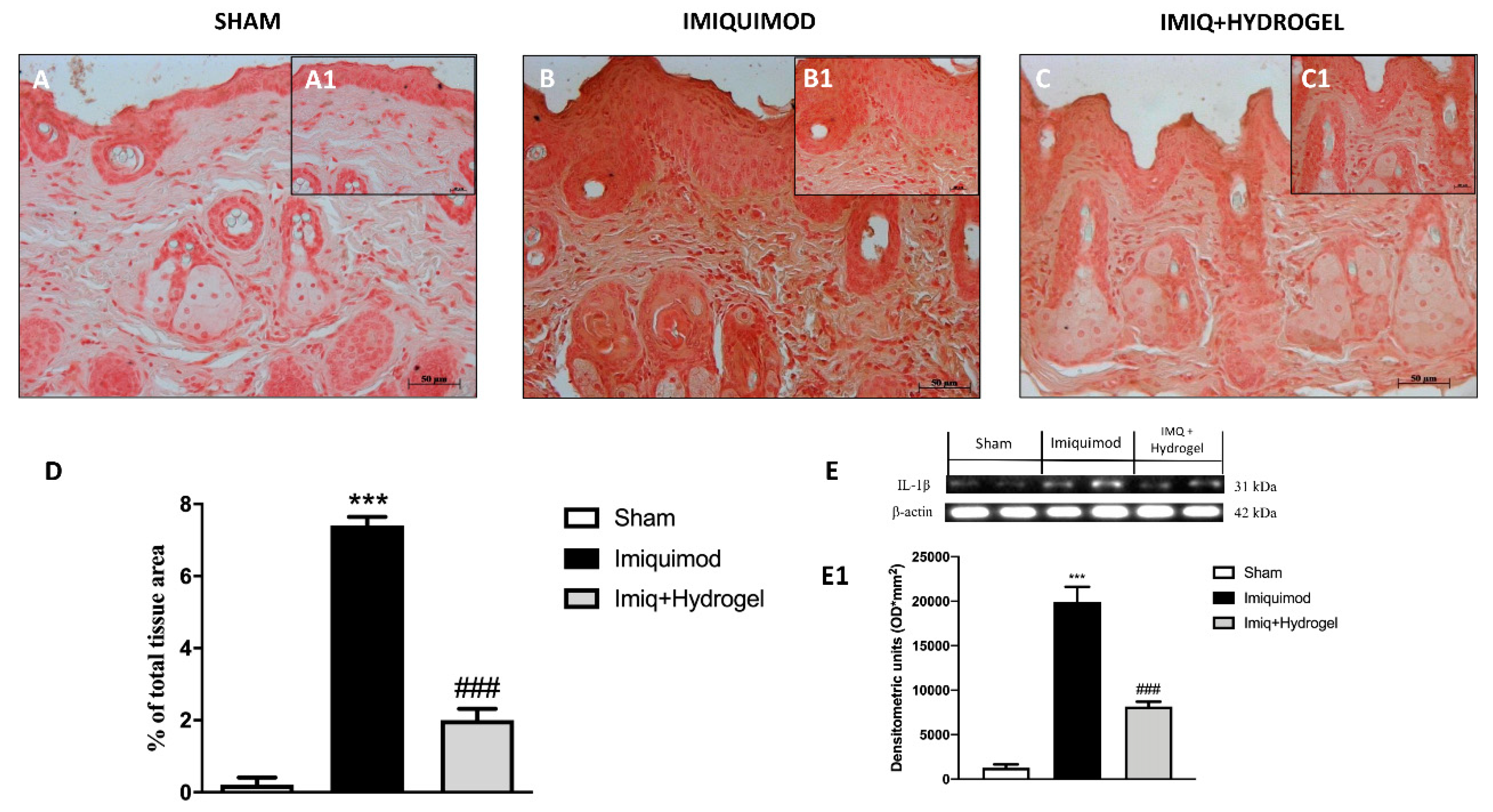 Ijms 21 05053 g007 Ijms 21 05053 g007
