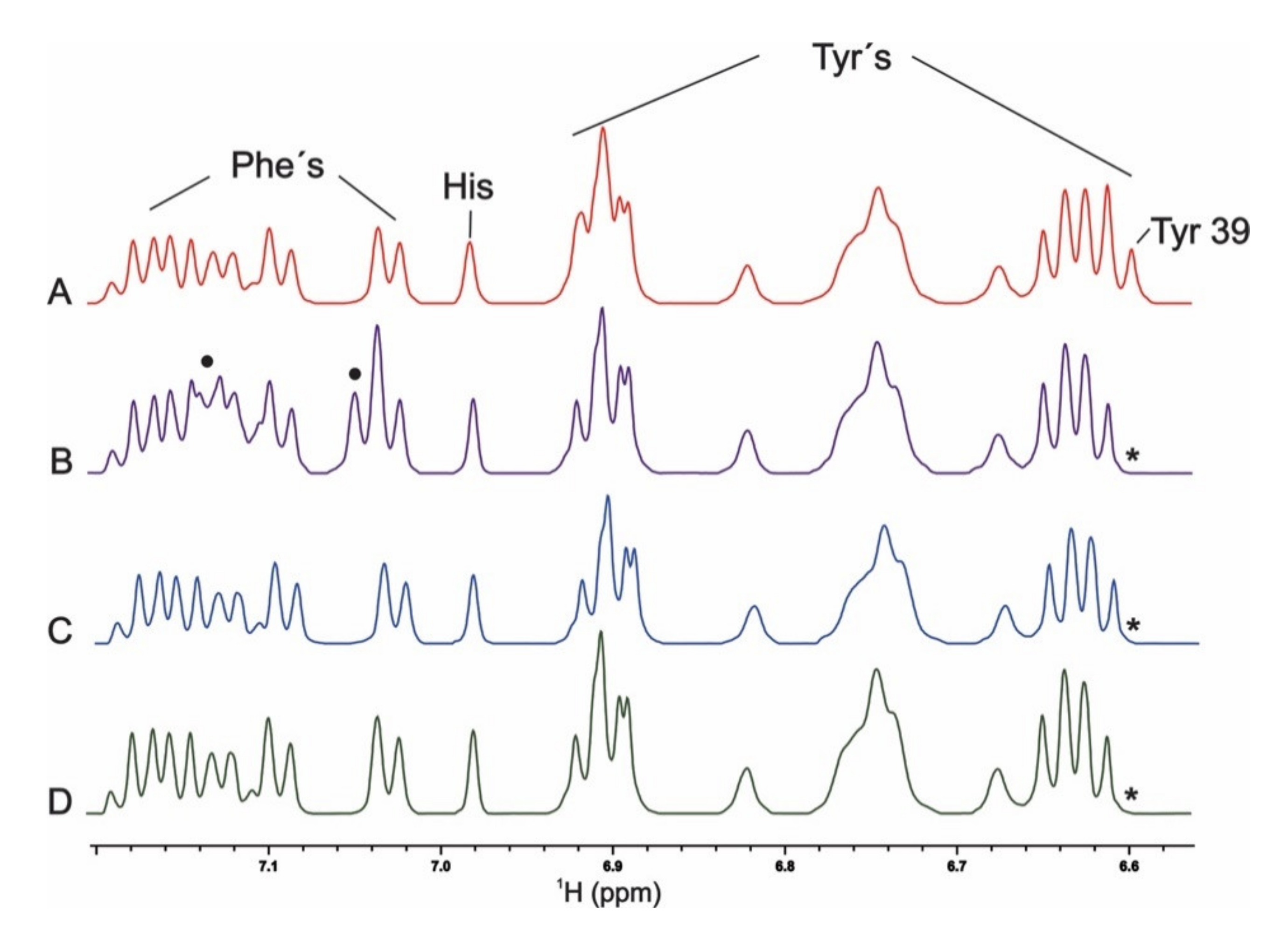 Ijms 21 05061 g002 Ijms 21 05061 g002