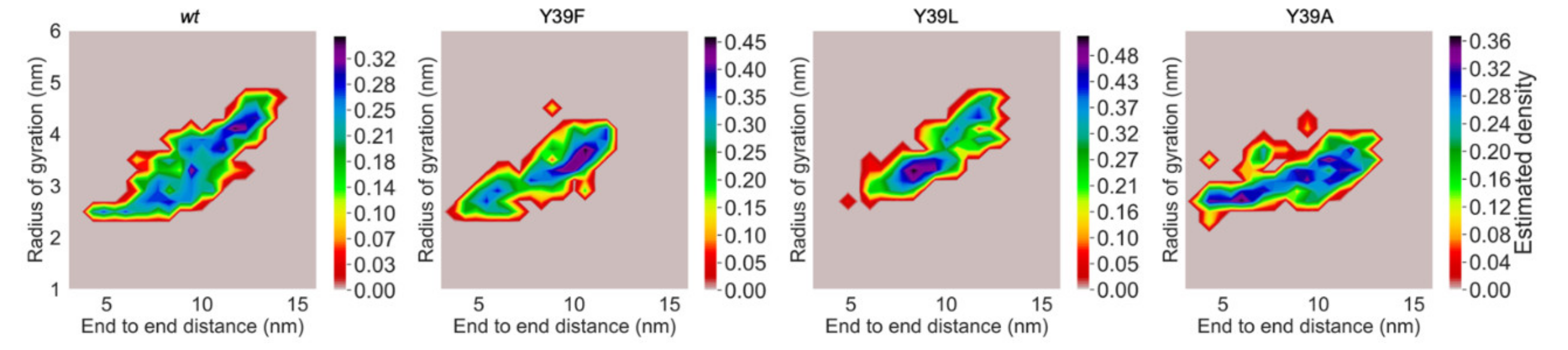 Ijms 21 05061 g005 Ijms 21 05061 g005