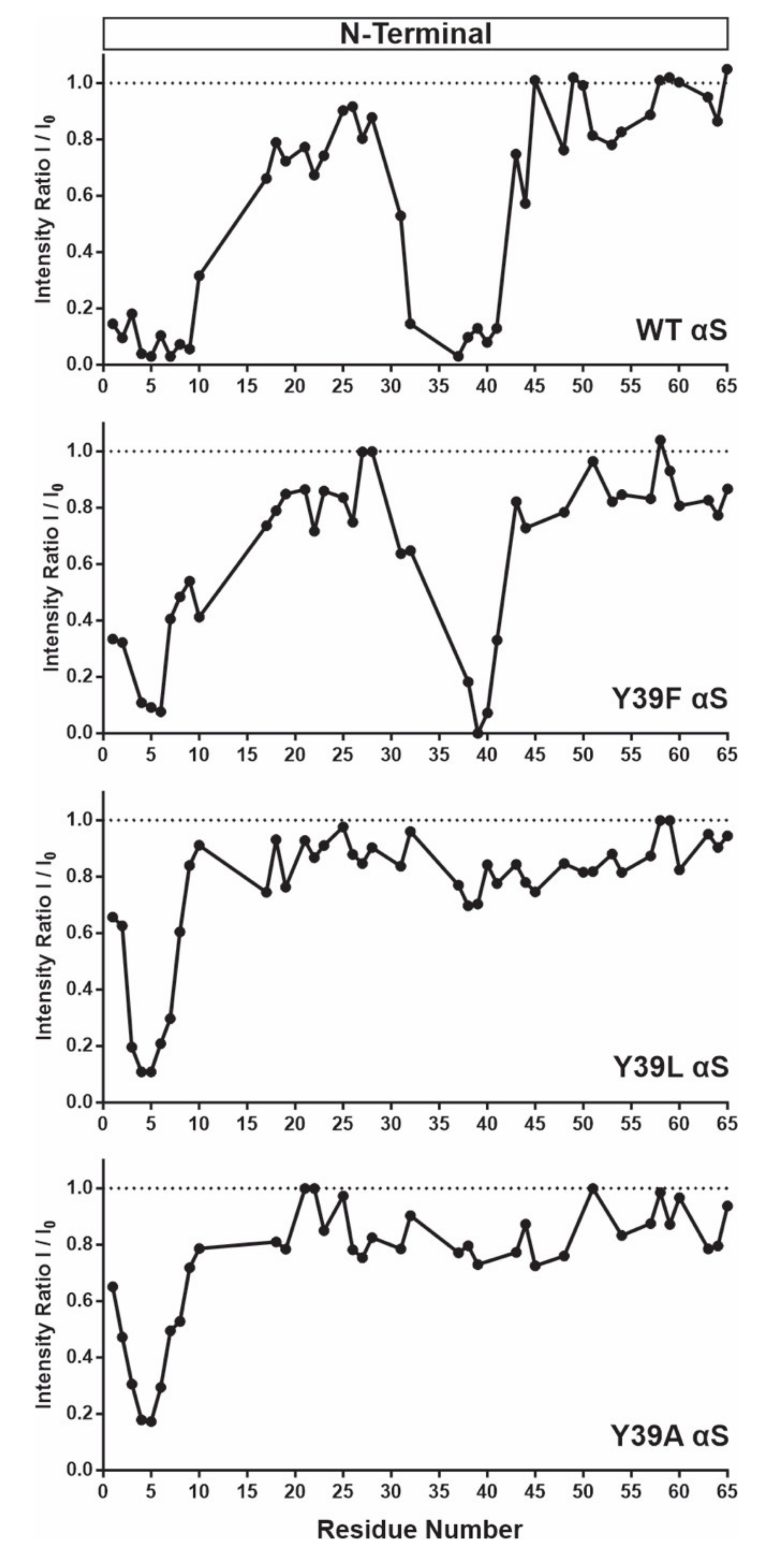 Ijms 21 05061 g007 Ijms 21 05061 g007