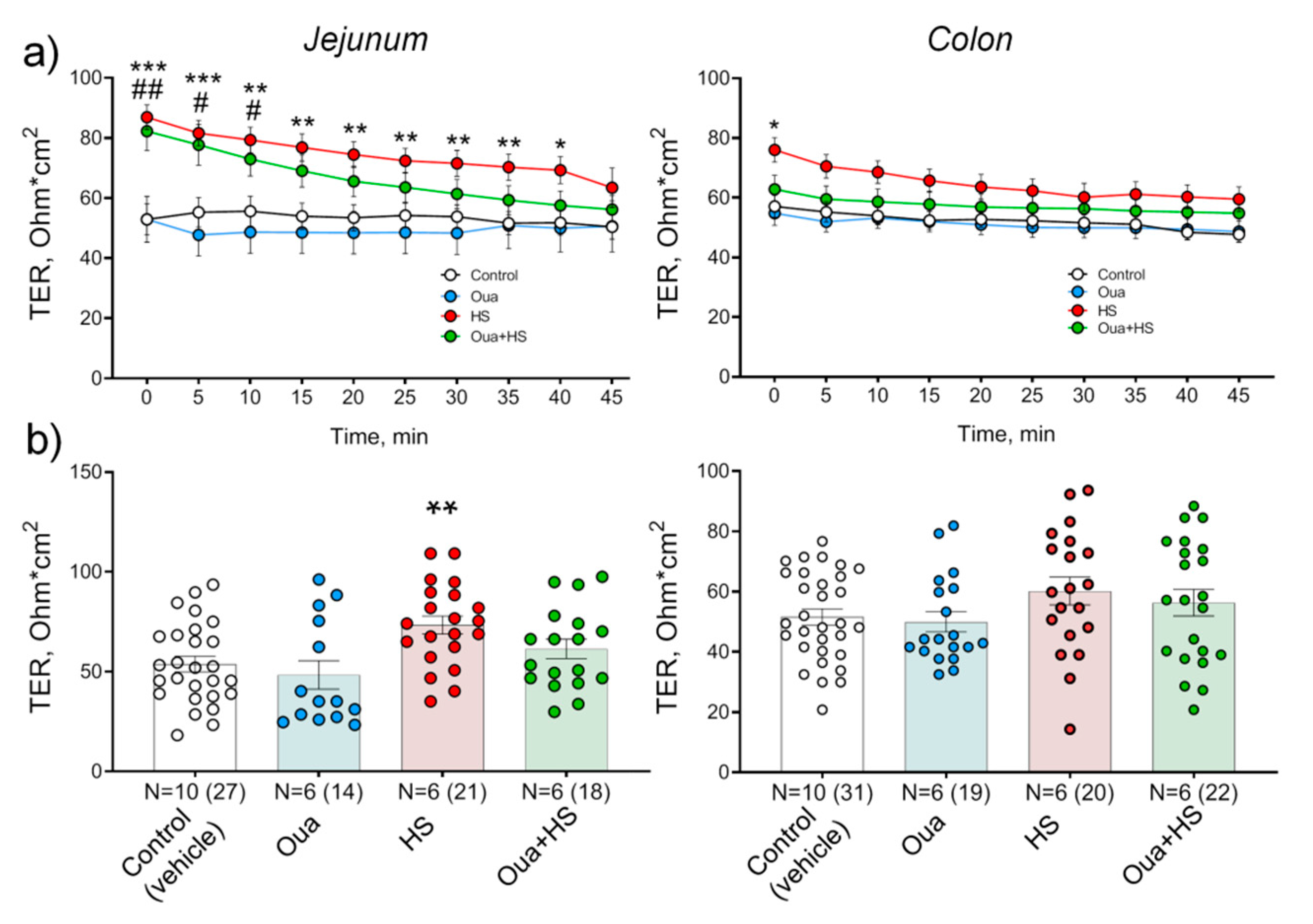 Ijms 21 05067 g005 Ijms 21 05067 g005