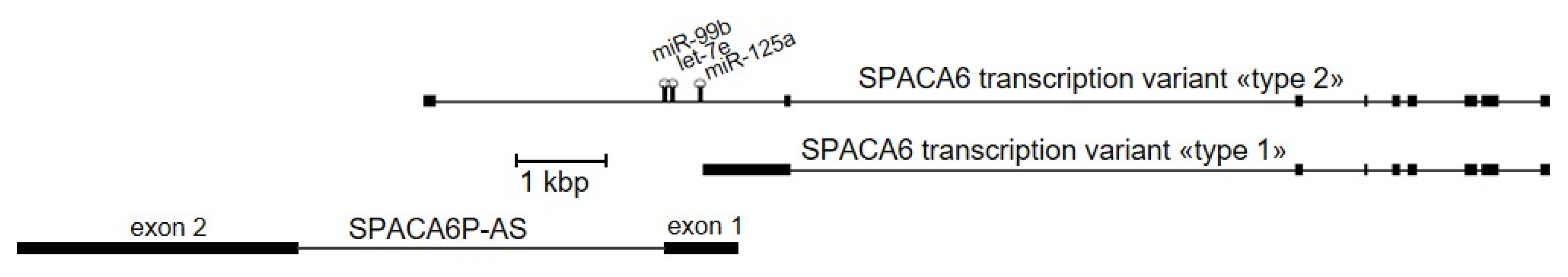 Ijms 21 05068 g001 Ijms 21 05068 g001