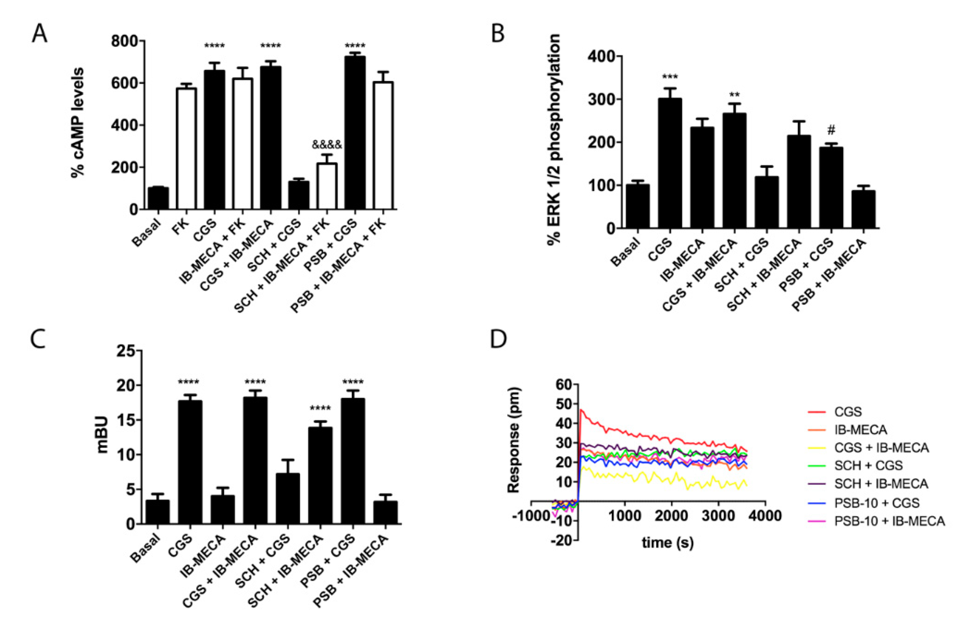 Ijms 21 05070 g003 Ijms 21 05070 g003