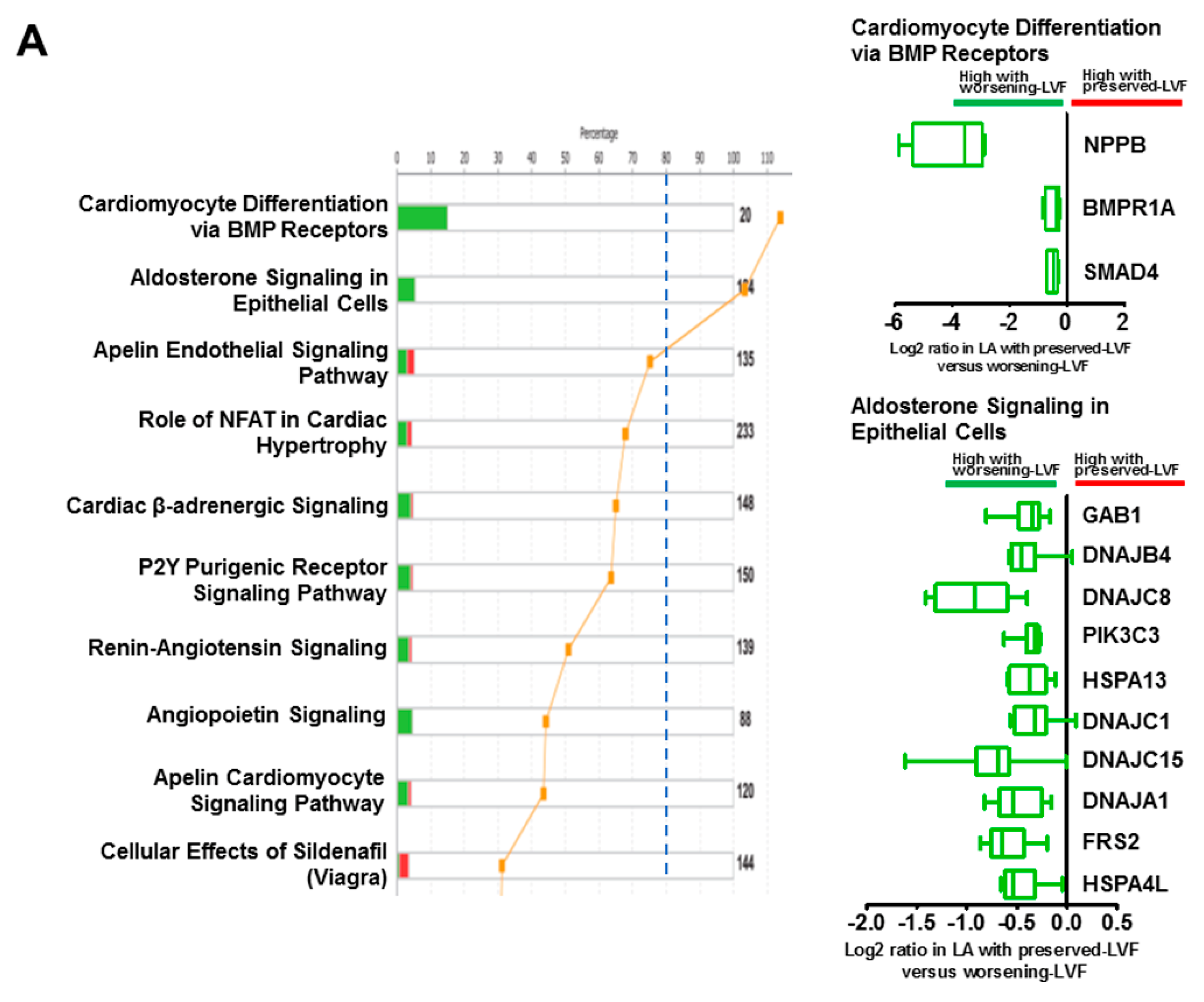 Ijms 21 05073 g002a Ijms 21 05073 g002a