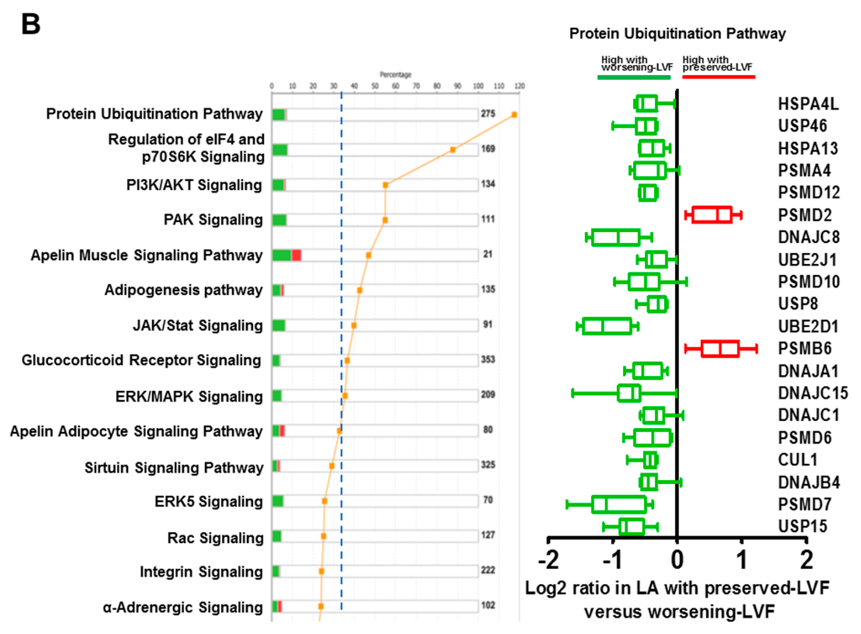 Ijms 21 05073 g002b Ijms 21 05073 g002b