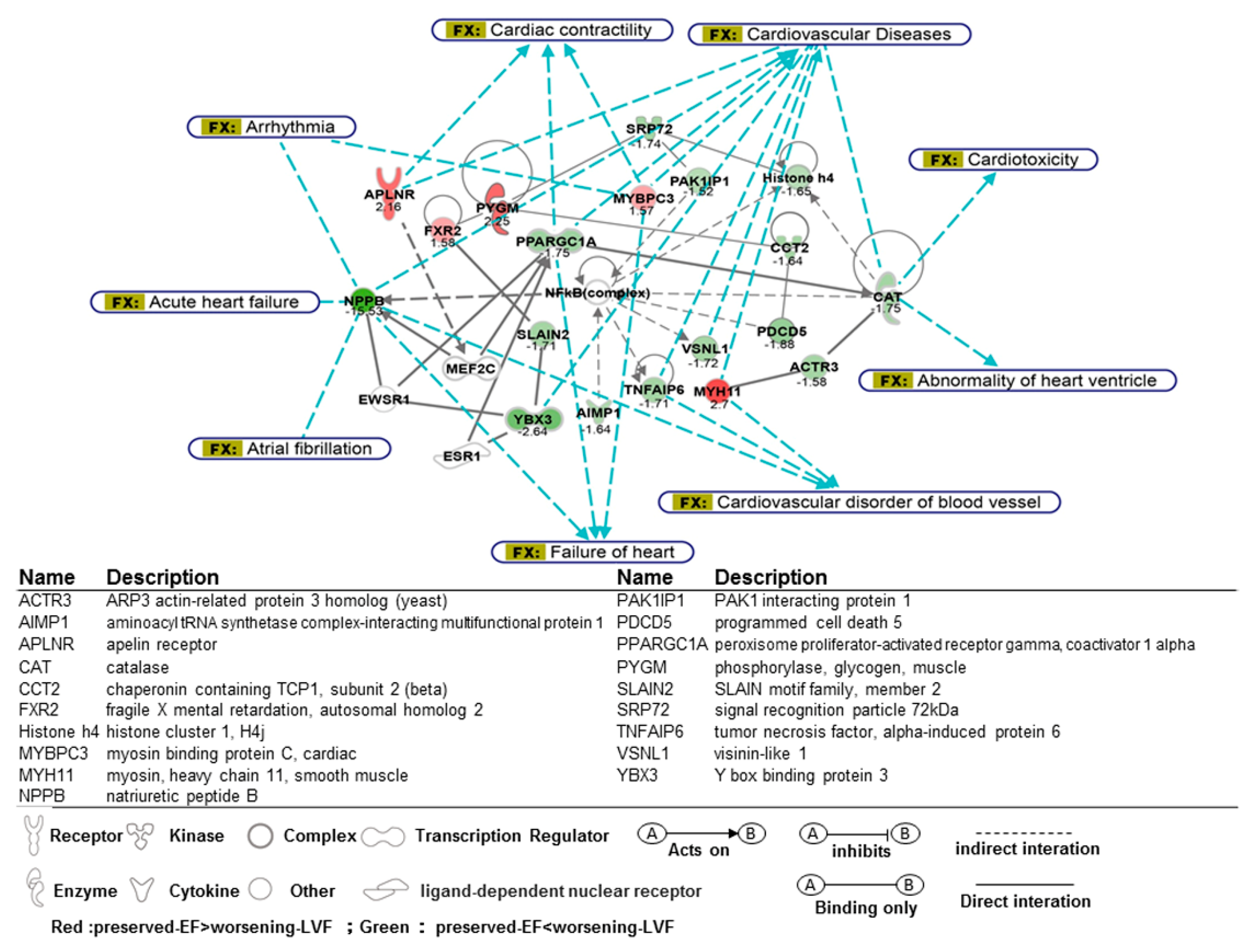 Ijms 21 05073 g003 Ijms 21 05073 g003