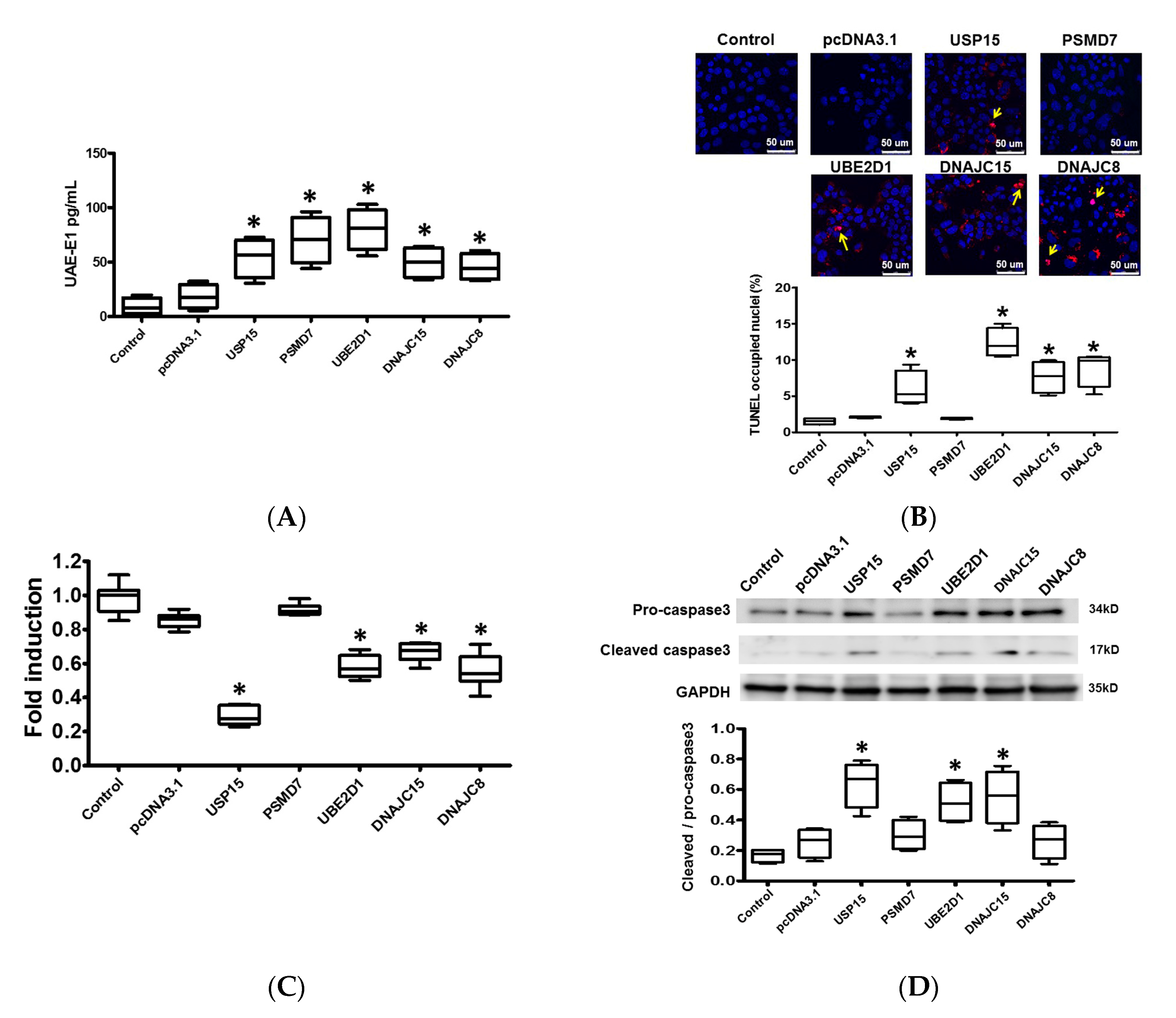 Ijms 21 05073 g004a Ijms 21 05073 g004a
