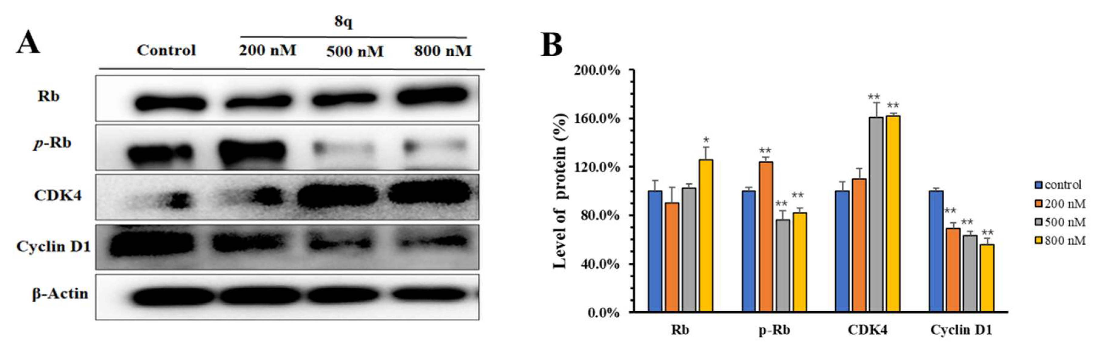 Ijms 21 05077 g003 Ijms 21 05077 g003